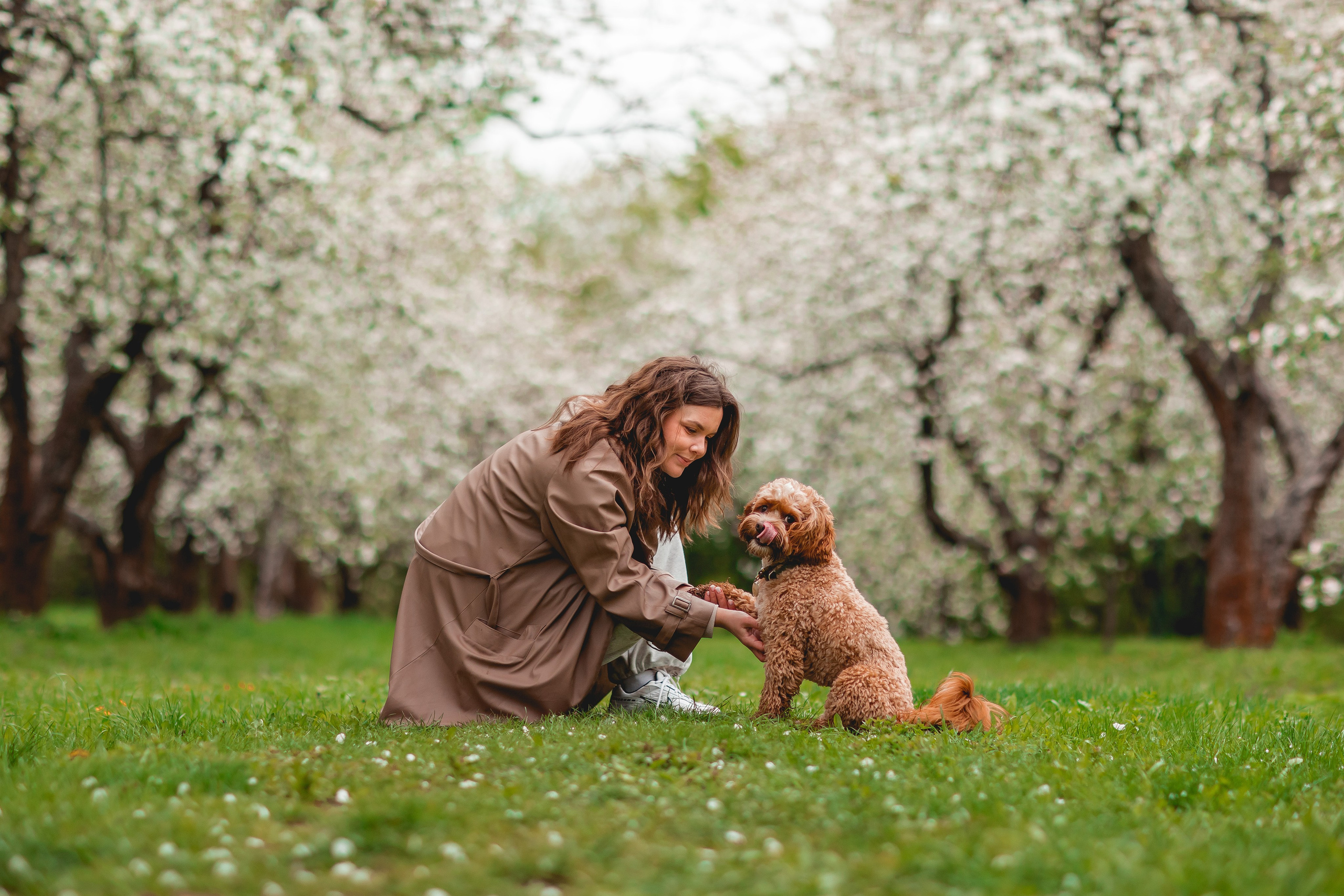 Ирина и Балу. Семейный фотограф анималист Мария Крючкова