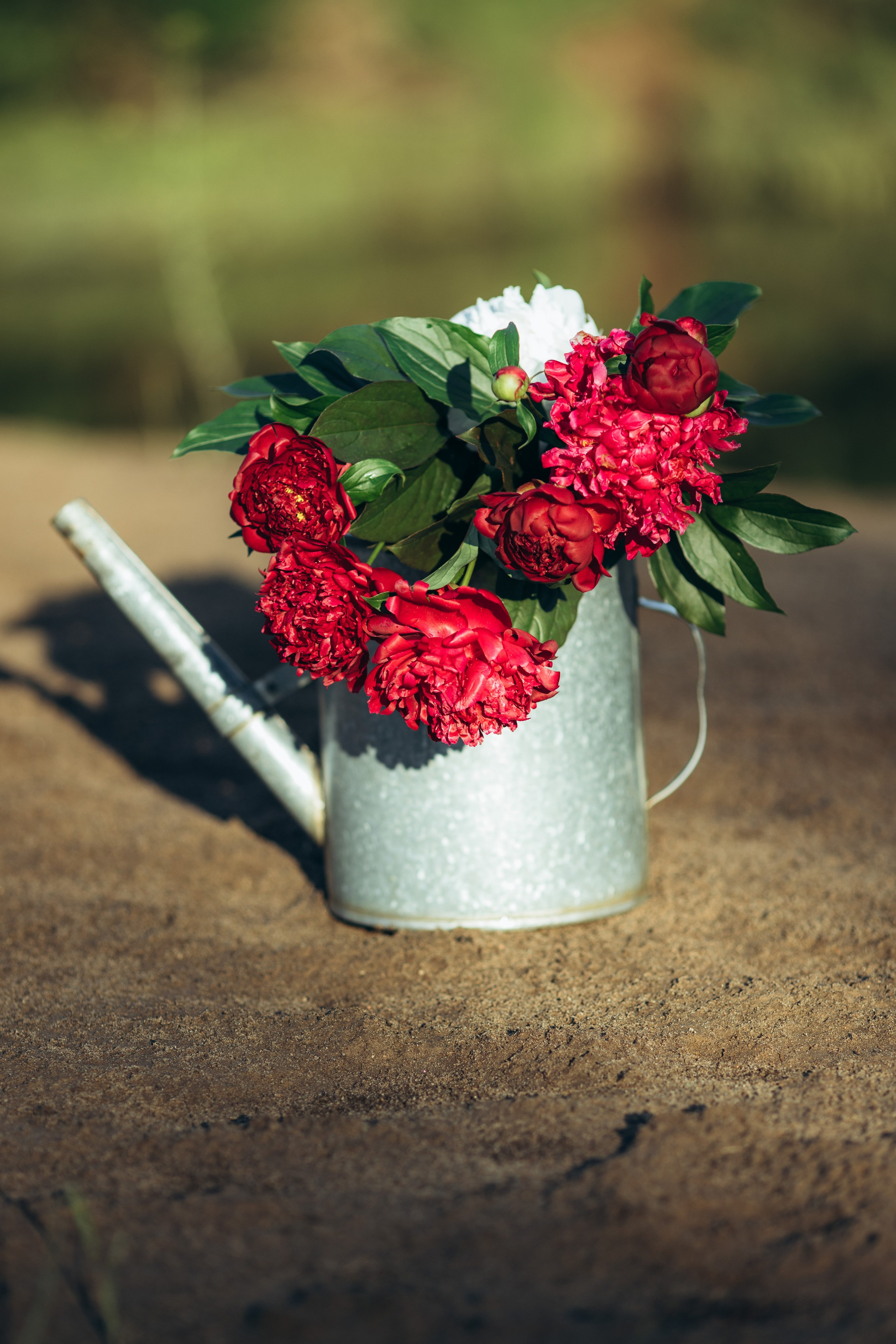 Тематический портрет у реки. Наталия Клевинскас портретный фотограф в Костроме