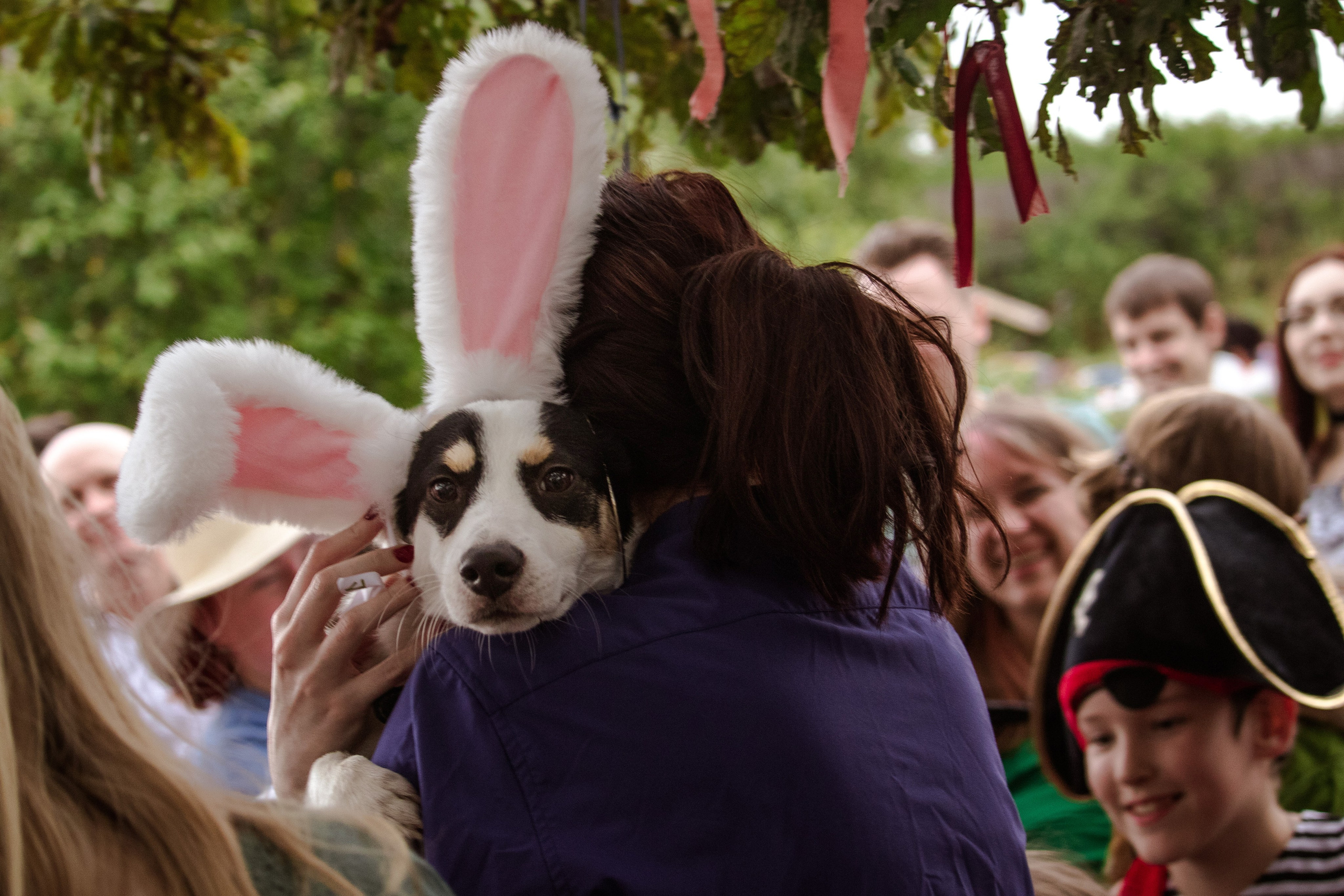 Бродячие сказки 2023