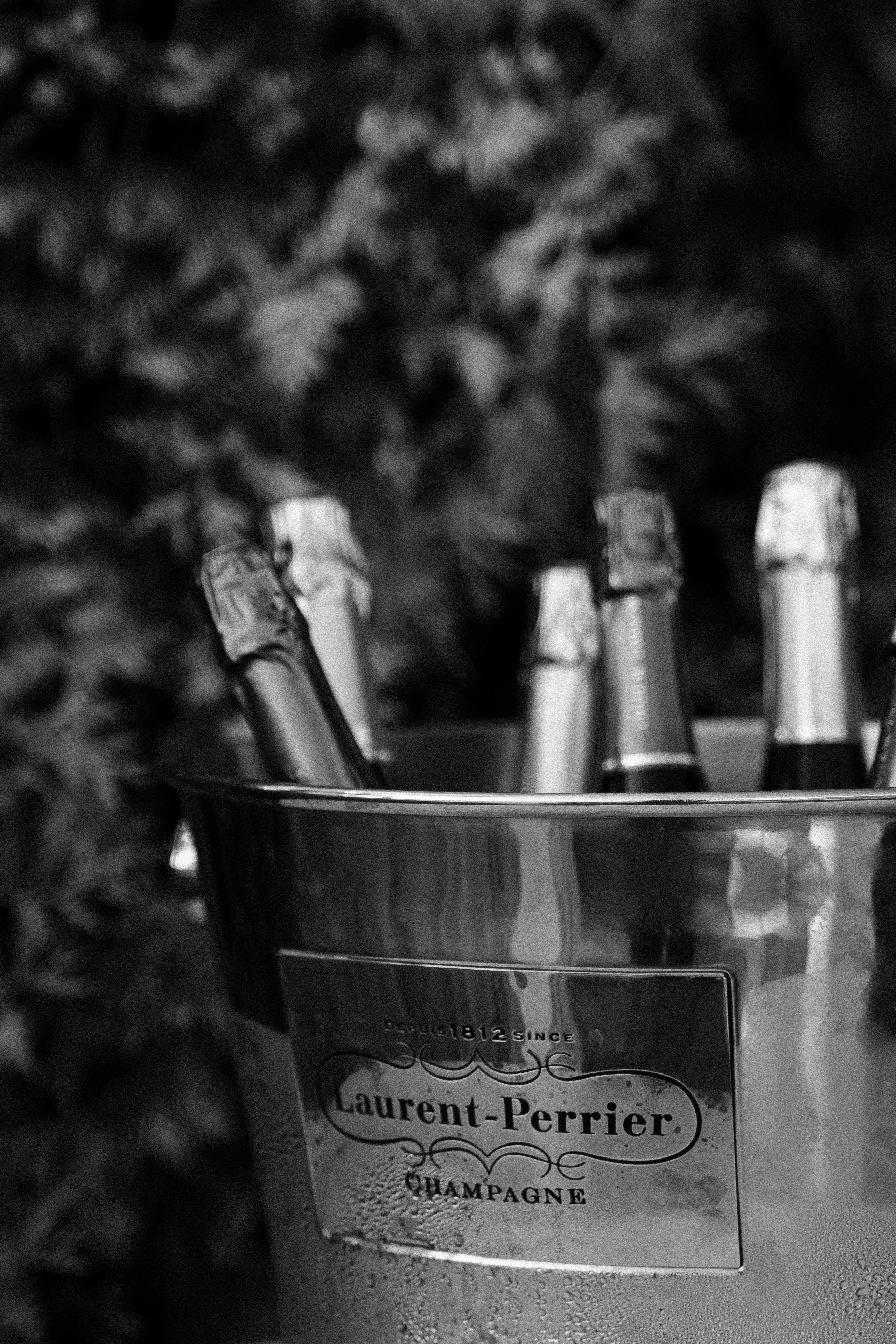 Свадьбы. ПАРА ОПЕРАТОРОВ