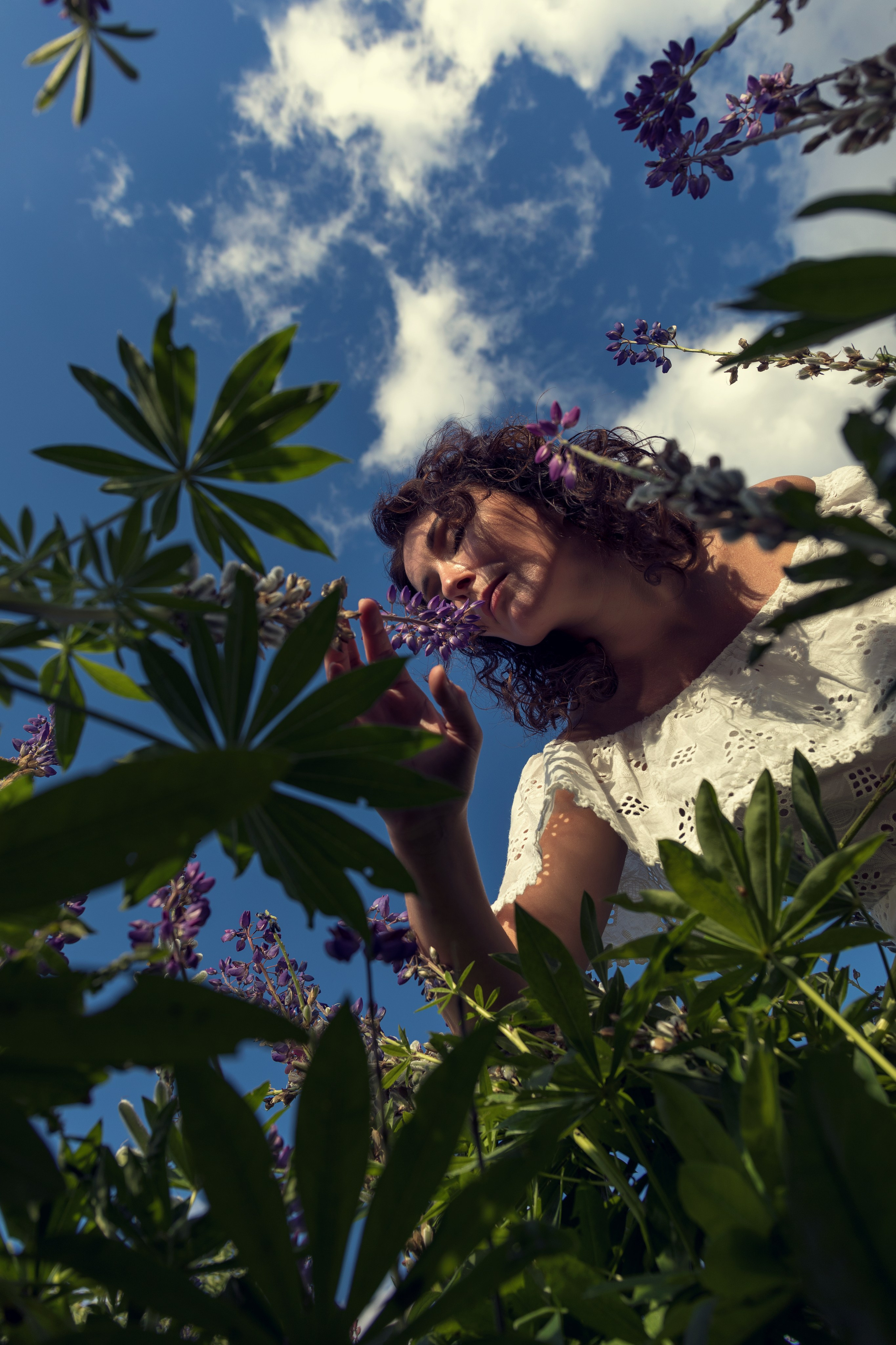 ФОТОПРОЕКТ «ЛЮПИНЫ». ФотоХудожник Харитонова Ирина г. Санкт-Петербург