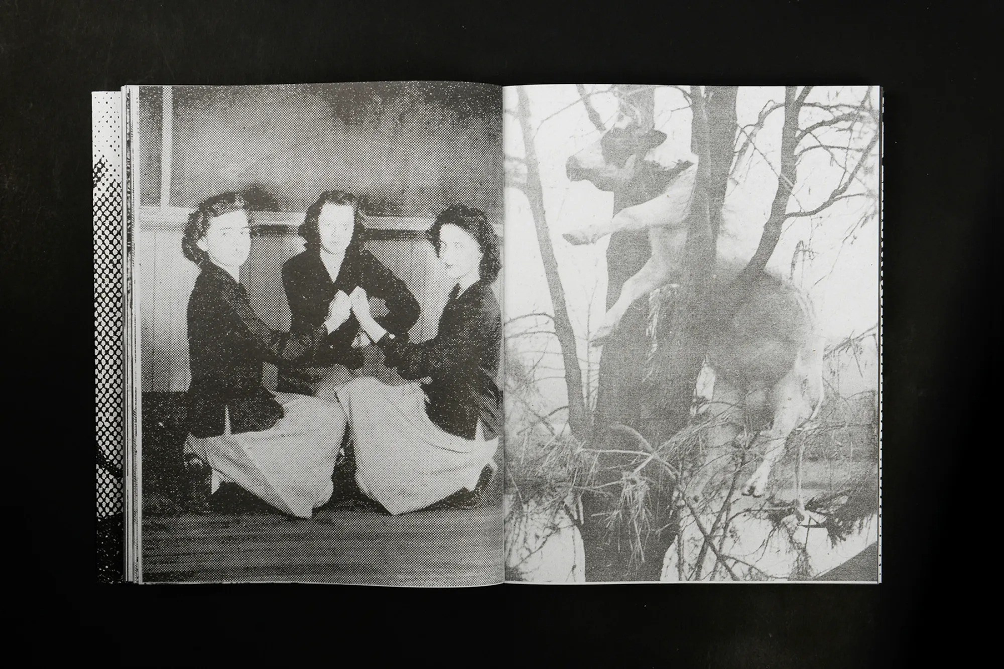 ПОПУЛЯРНЫЕ ОШИБКИ ПРИ СОЗДАНИИ ФОТОКНИГИ. Самоорганизация Низина