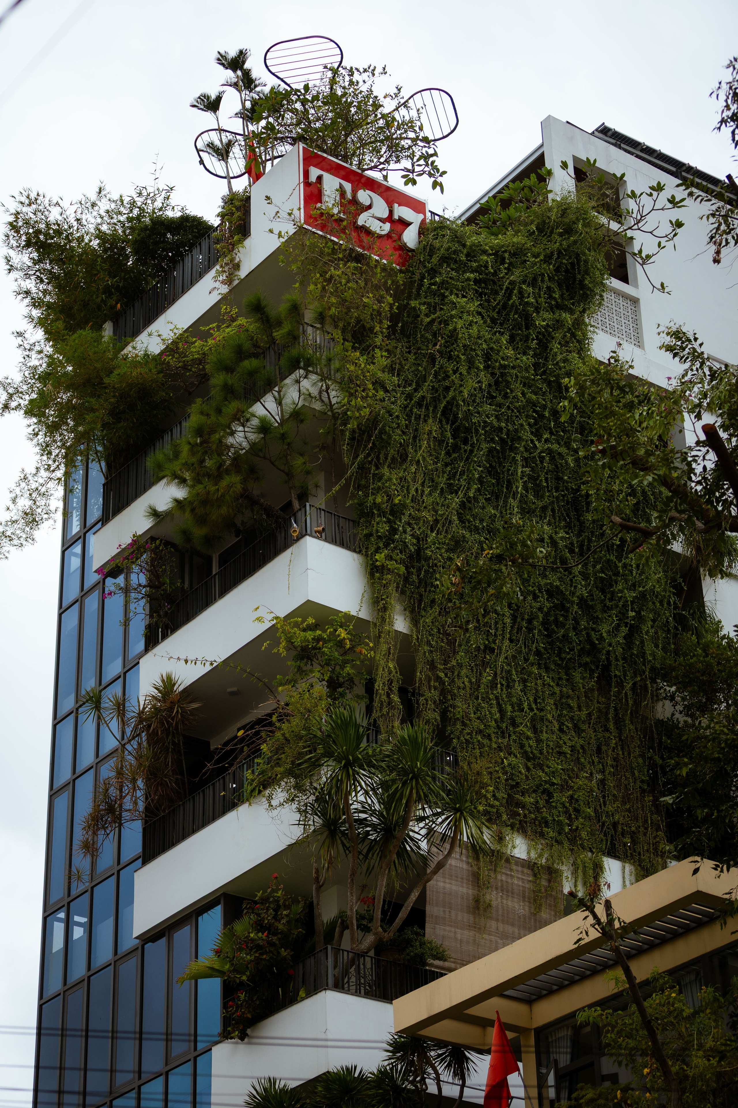 Вьетнам (зима 2025-2026). Фотограф Виноградов Константин