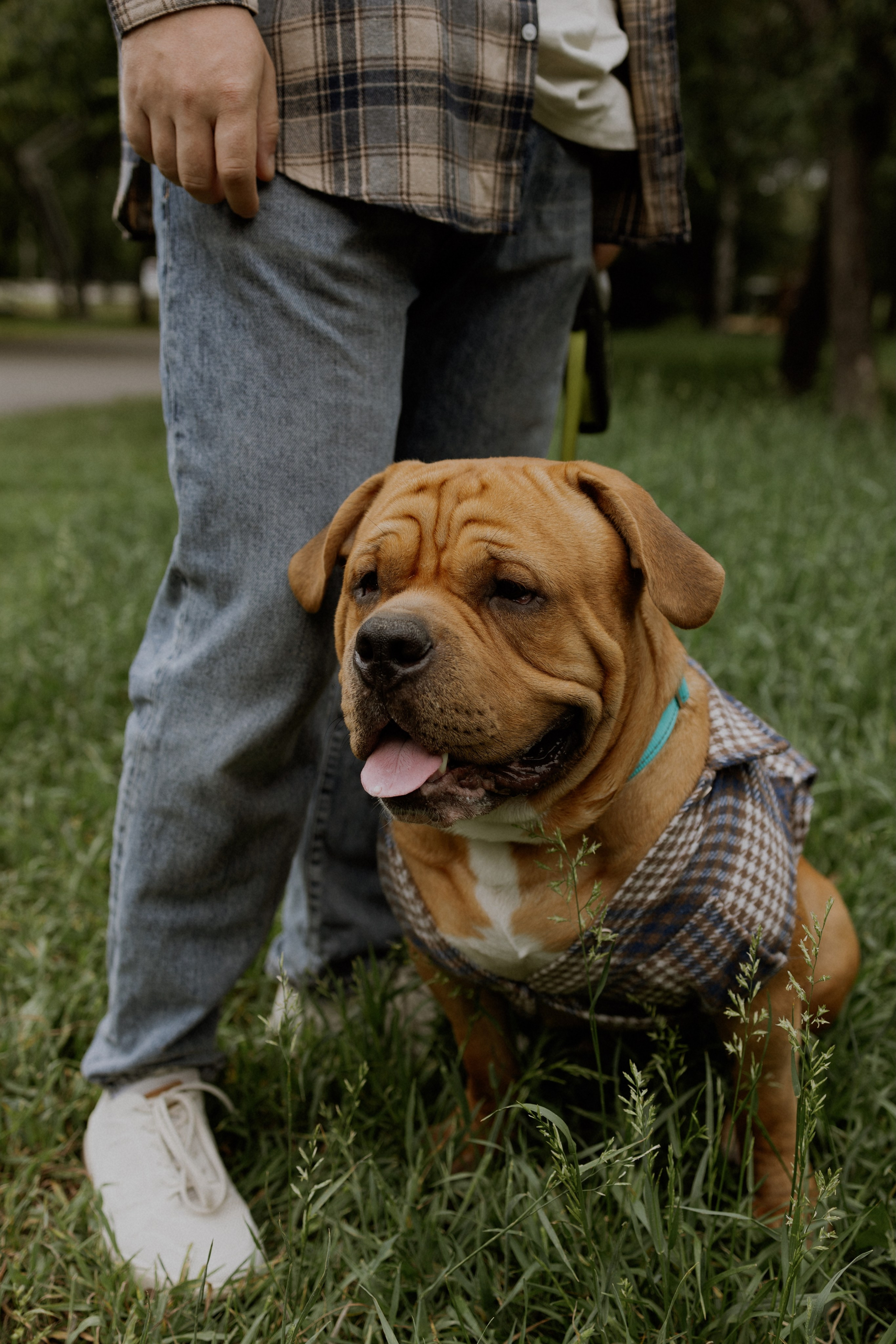 Артем, Нина и Гаара. Семейный фотограф Надежда Каримова | Иркутск Байкал Аршан