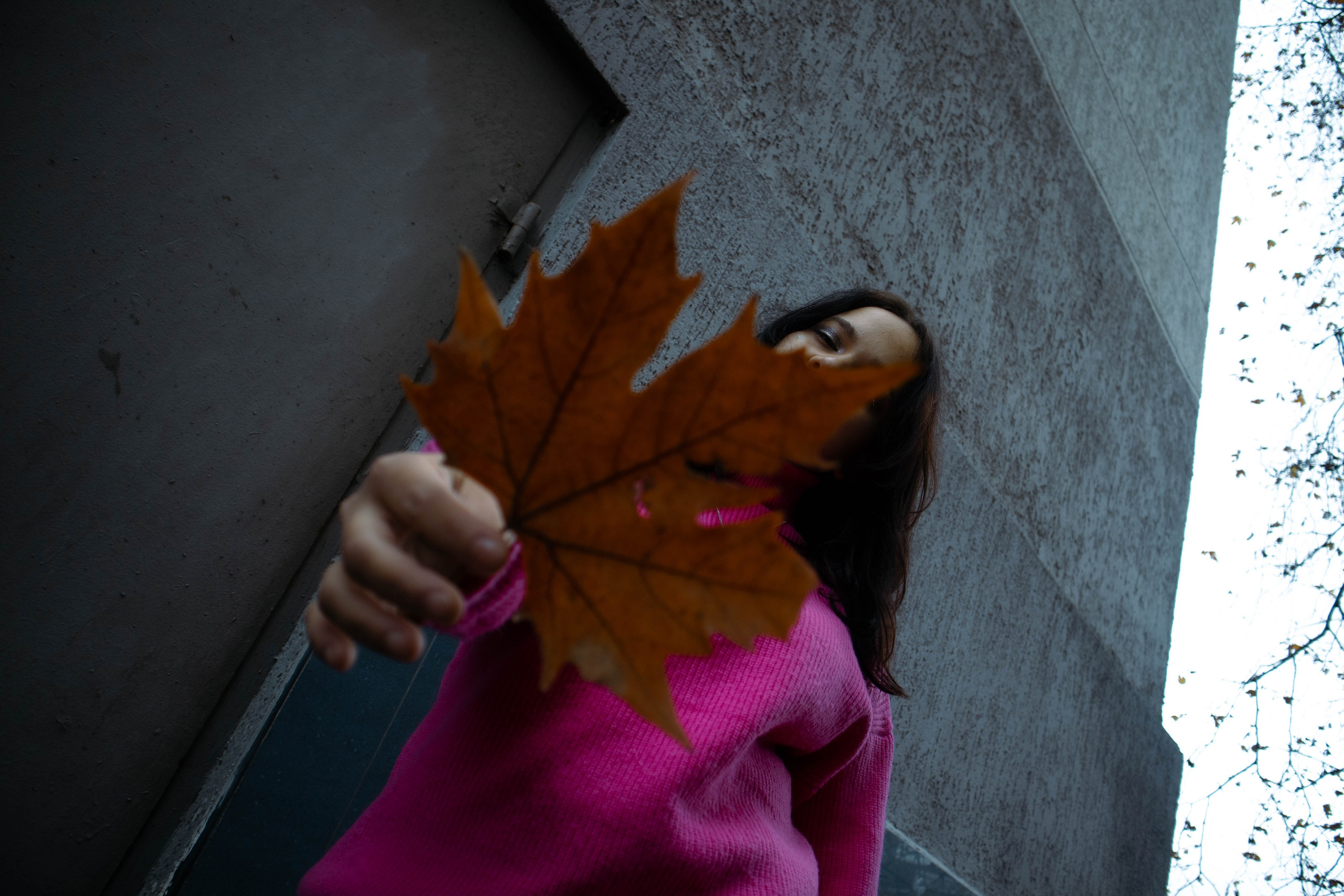 «Городская грация: осенний вальс». Уличный фотограф Города N