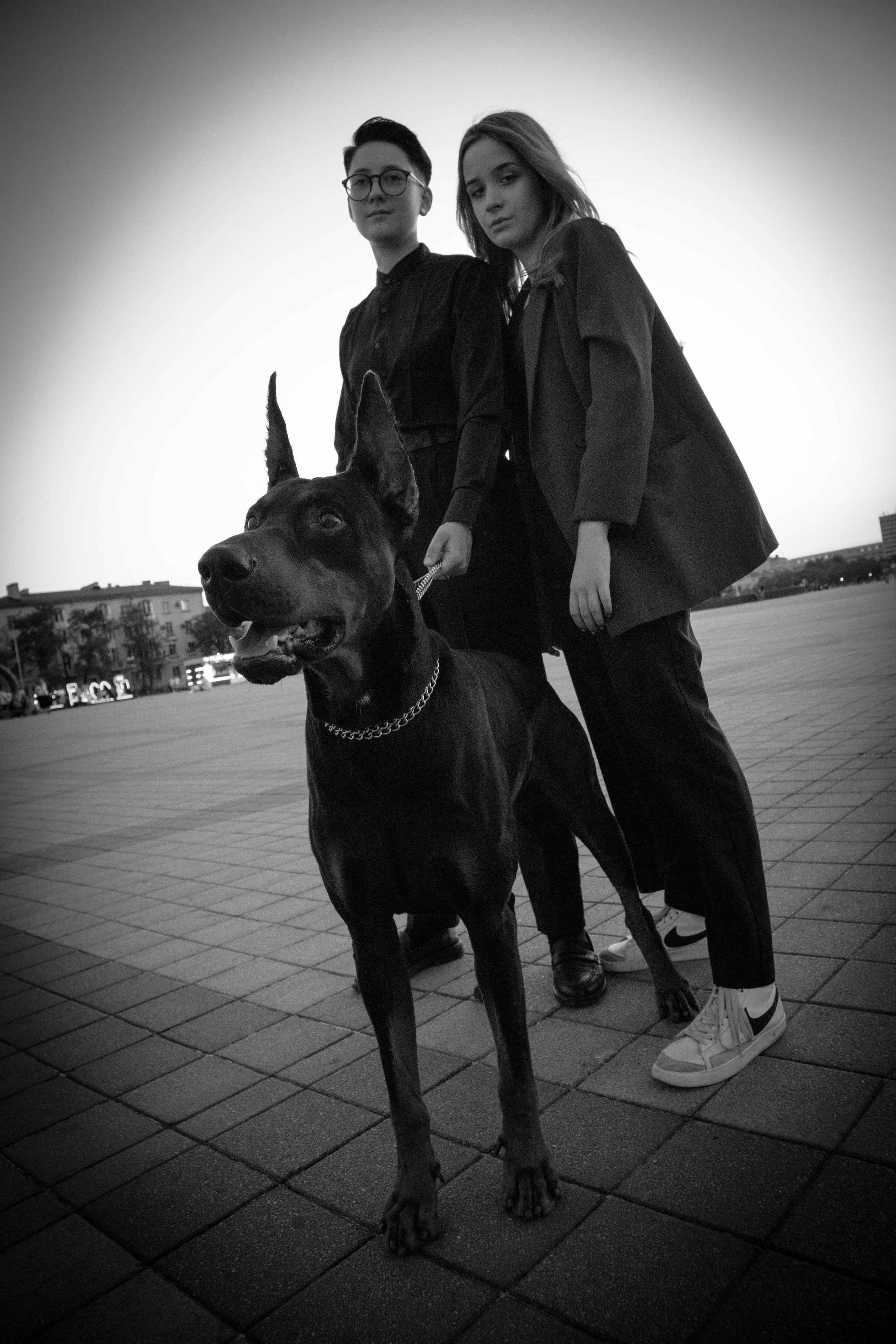 «Жизнь в ритме шага: пара с доберманом». Уличный фотограф Города N