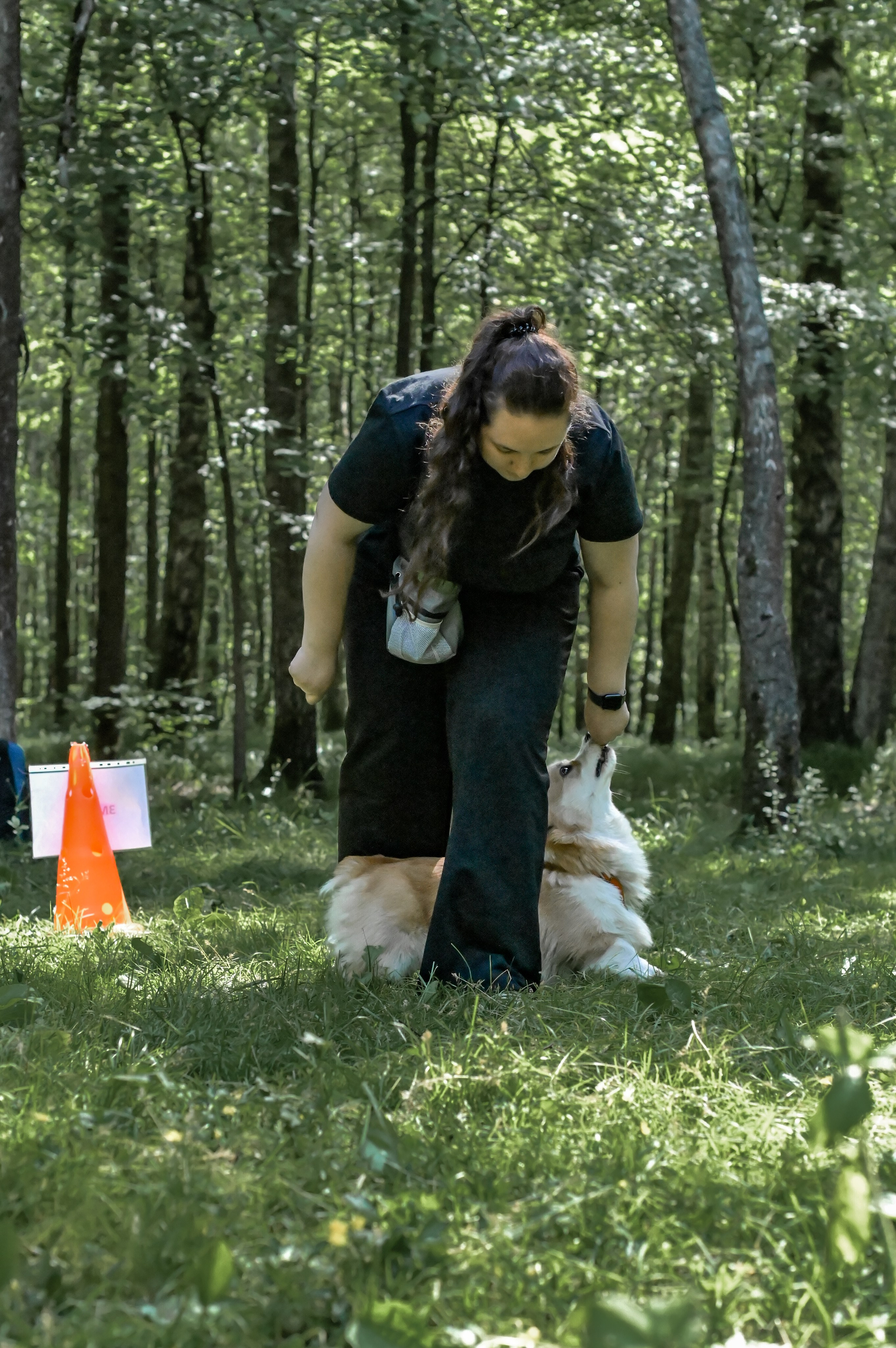 Кинологические соревнования. Семейный и репортажный фотограф в Москве Анастасия Трубкина