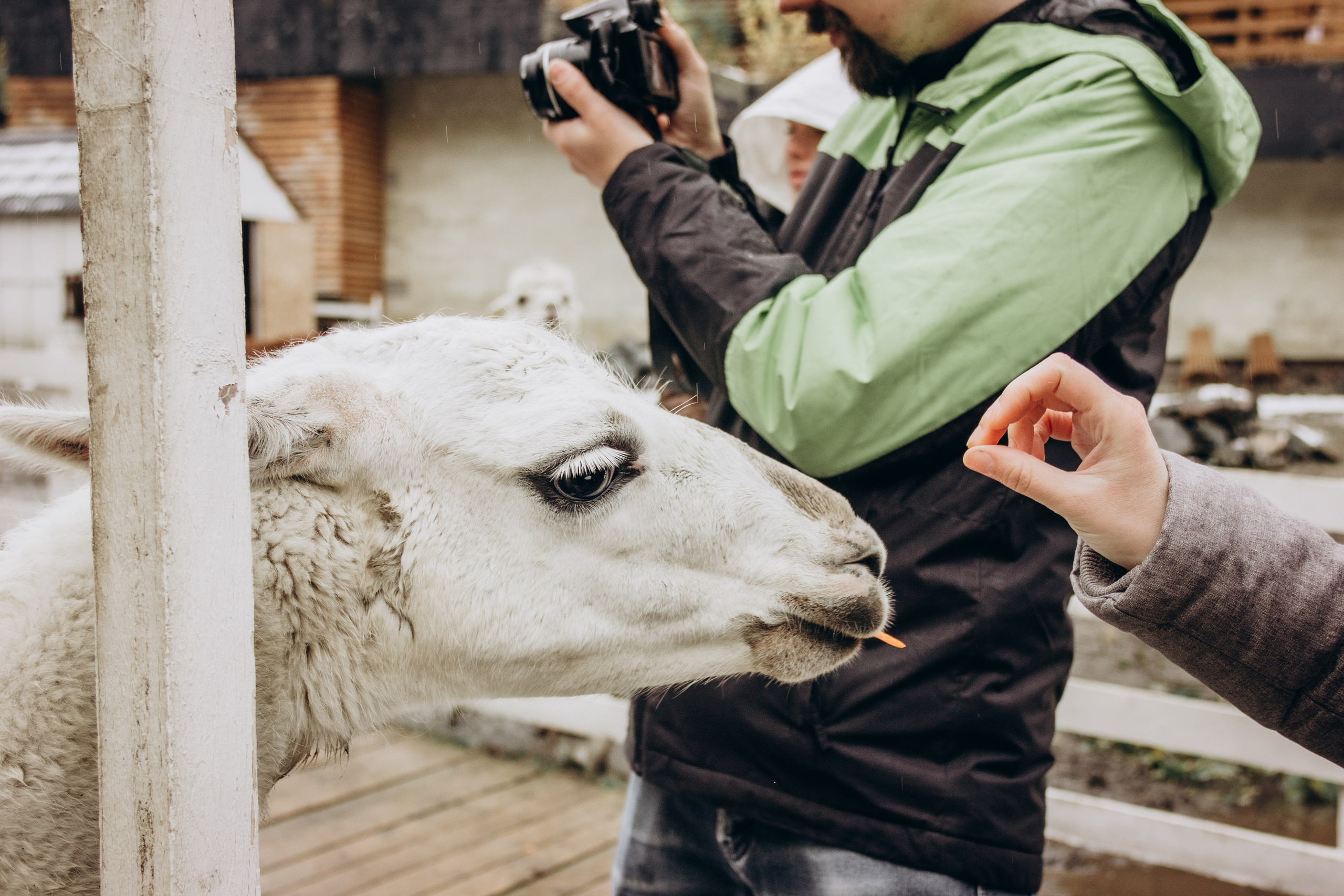 Домбай. Мария Трут. Фотограф