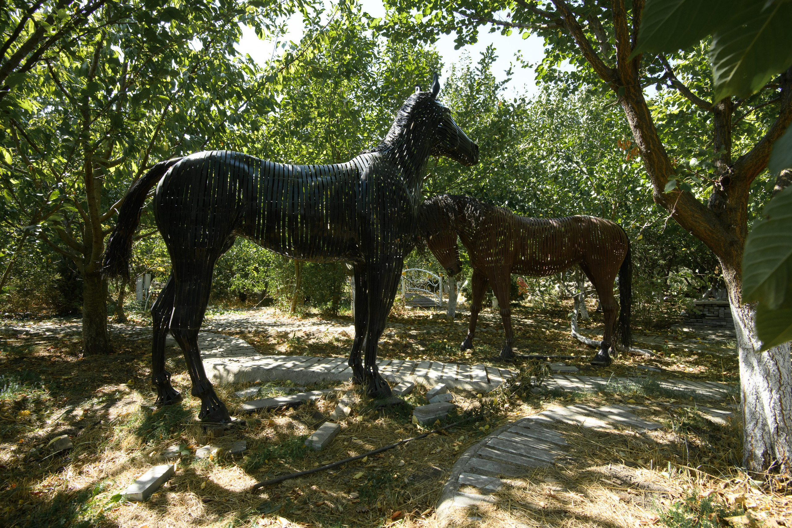 Тихорецк. Профессиональная фотосъемка. Ростов-на-Дону