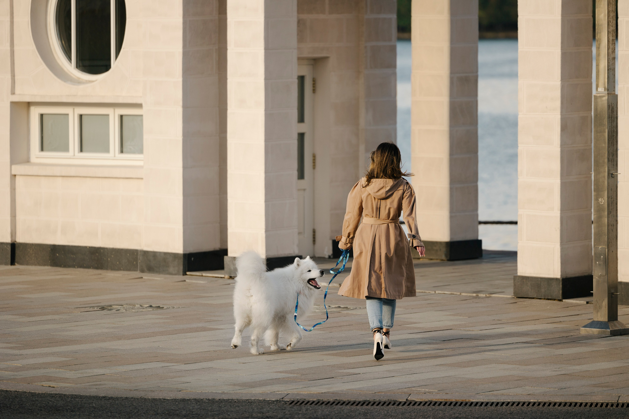 Ната, Панти, Речной Вокзал. Фотограф анималист в Москве Майорова Евгения