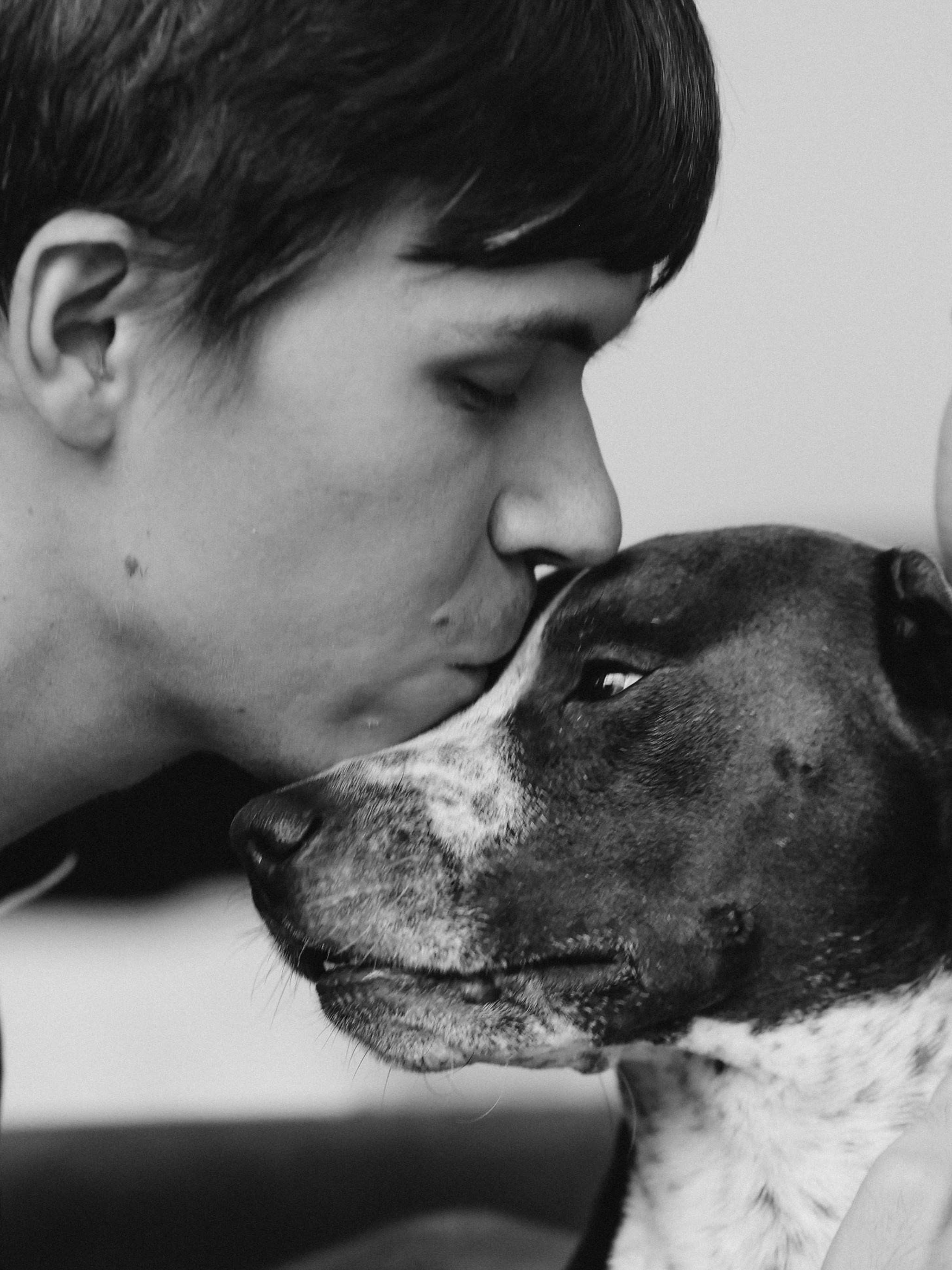 Тортик Даша и Никита. Фотограф-анималист в Москве Кириллова Татьяна