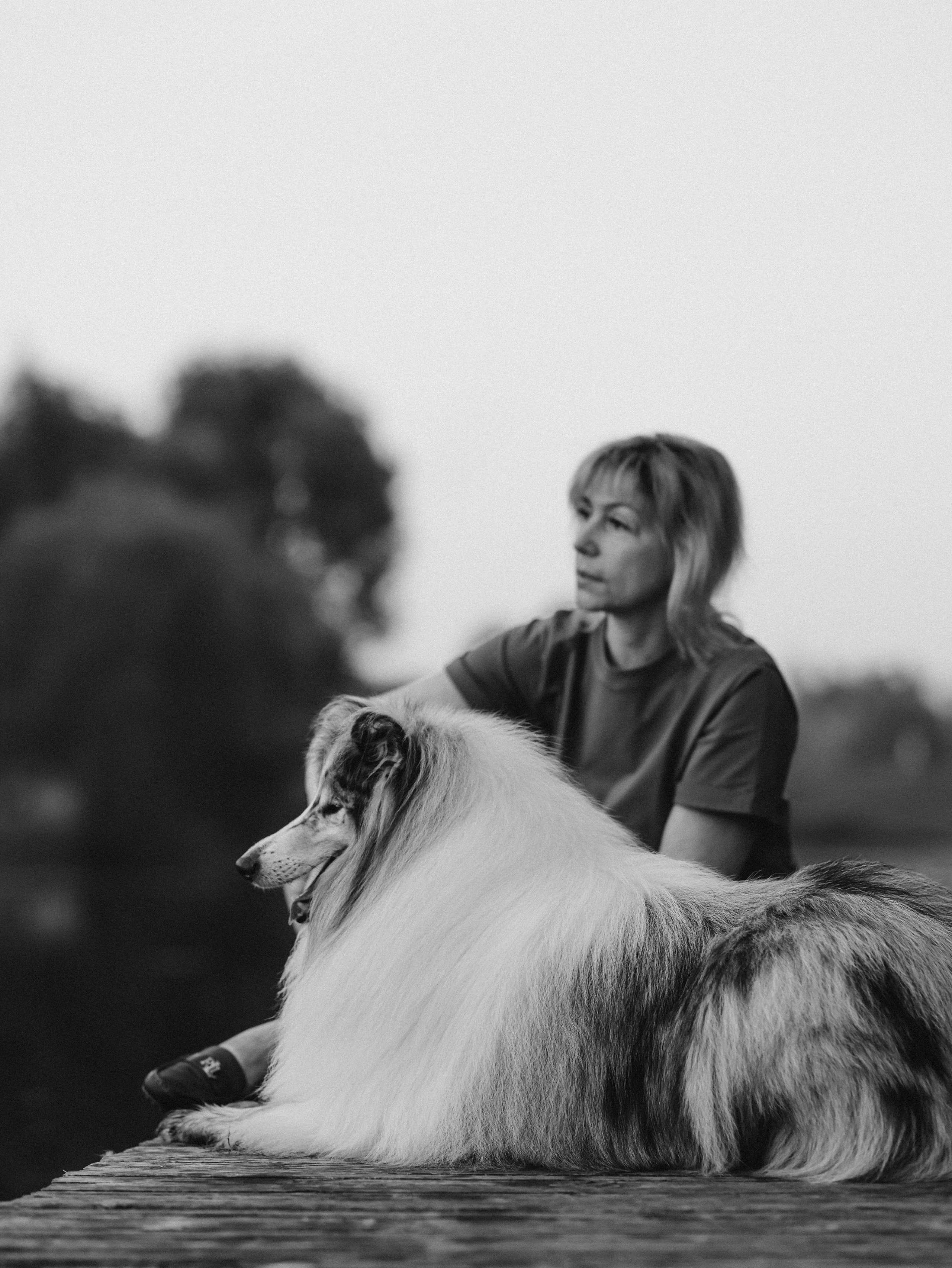 Гранд и Инга. Фотограф-анималист в Москве Кириллова Татьяна