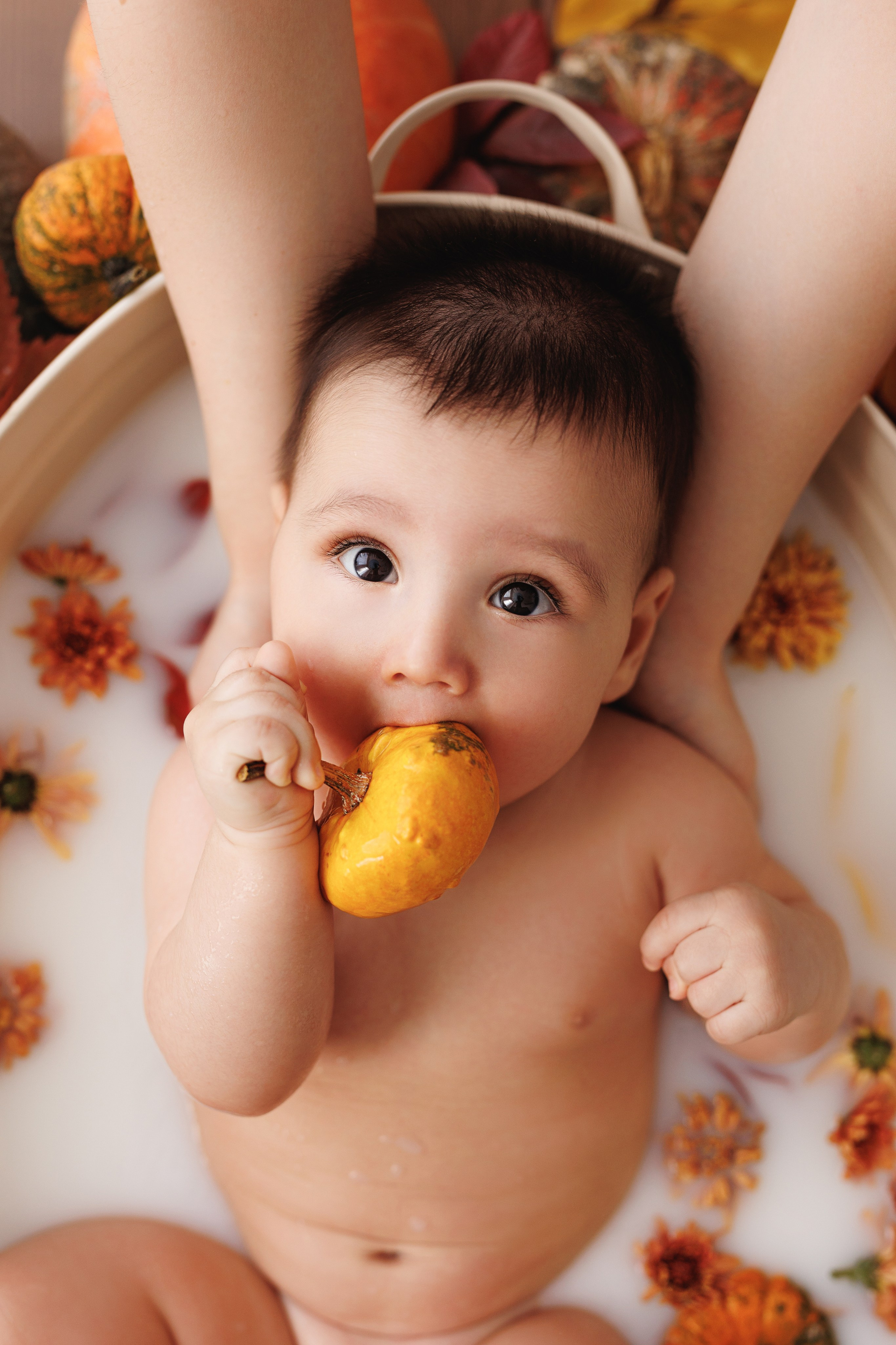 Фотопроекты. Профессиональная детская и семейная фотостудия в Краснодаре