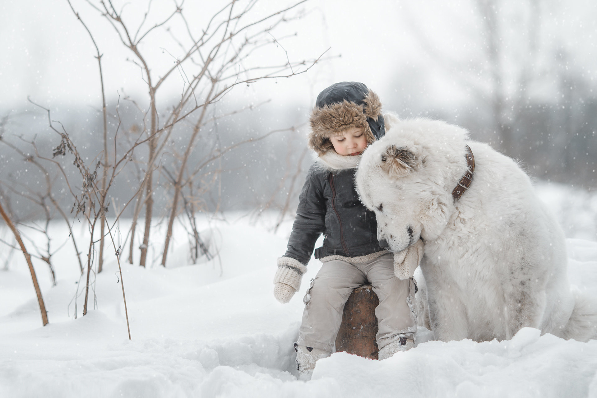 ДО|ПОСЛЕ. Детский и семейный фотограф в Санкт-Петербурге Мария Господинова