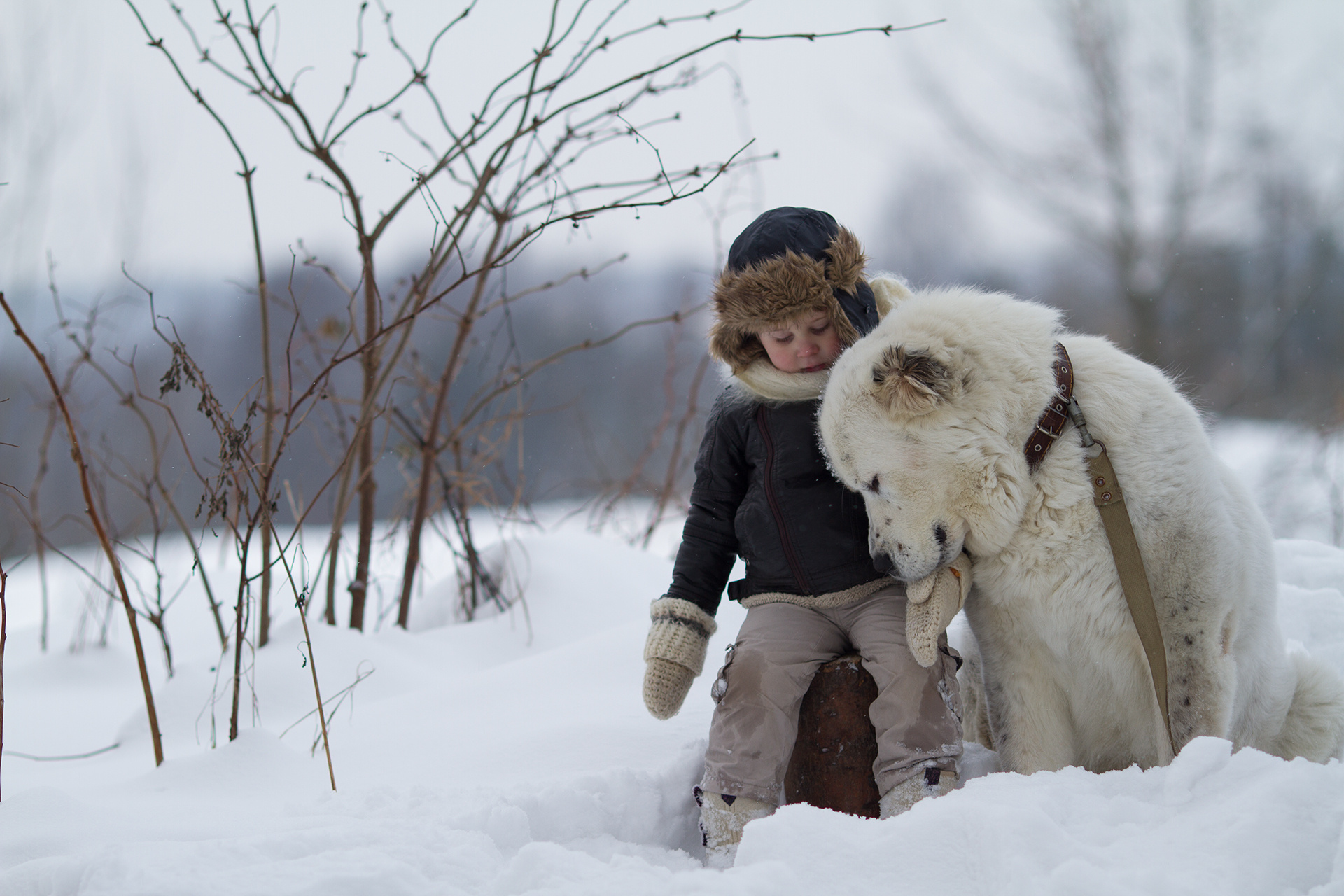 ДО|ПОСЛЕ. Детский и семейный фотограф в Санкт-Петербурге Мария Господинова