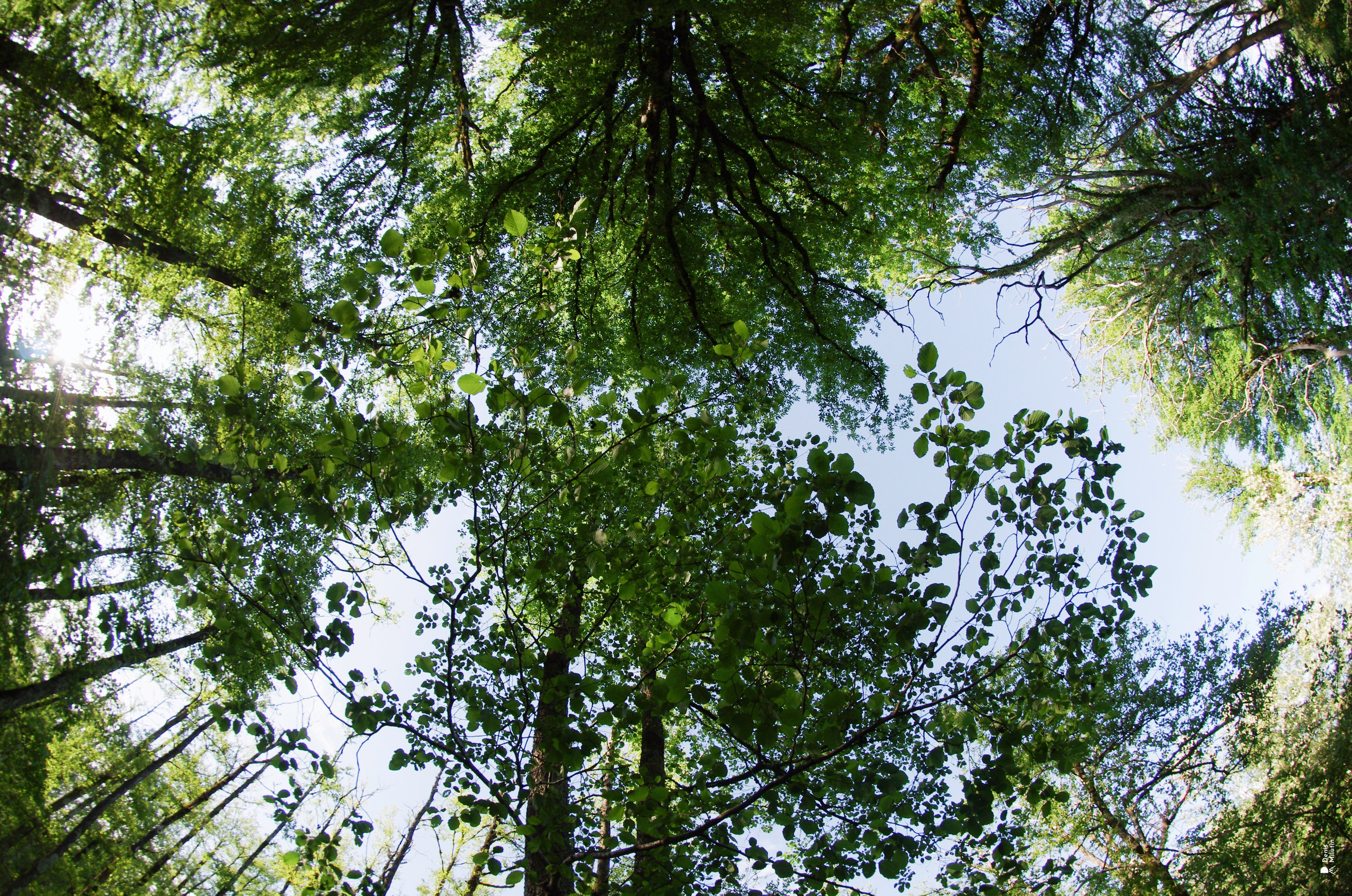 Каньон Окаце. Портретный фотограф Денис Милютин