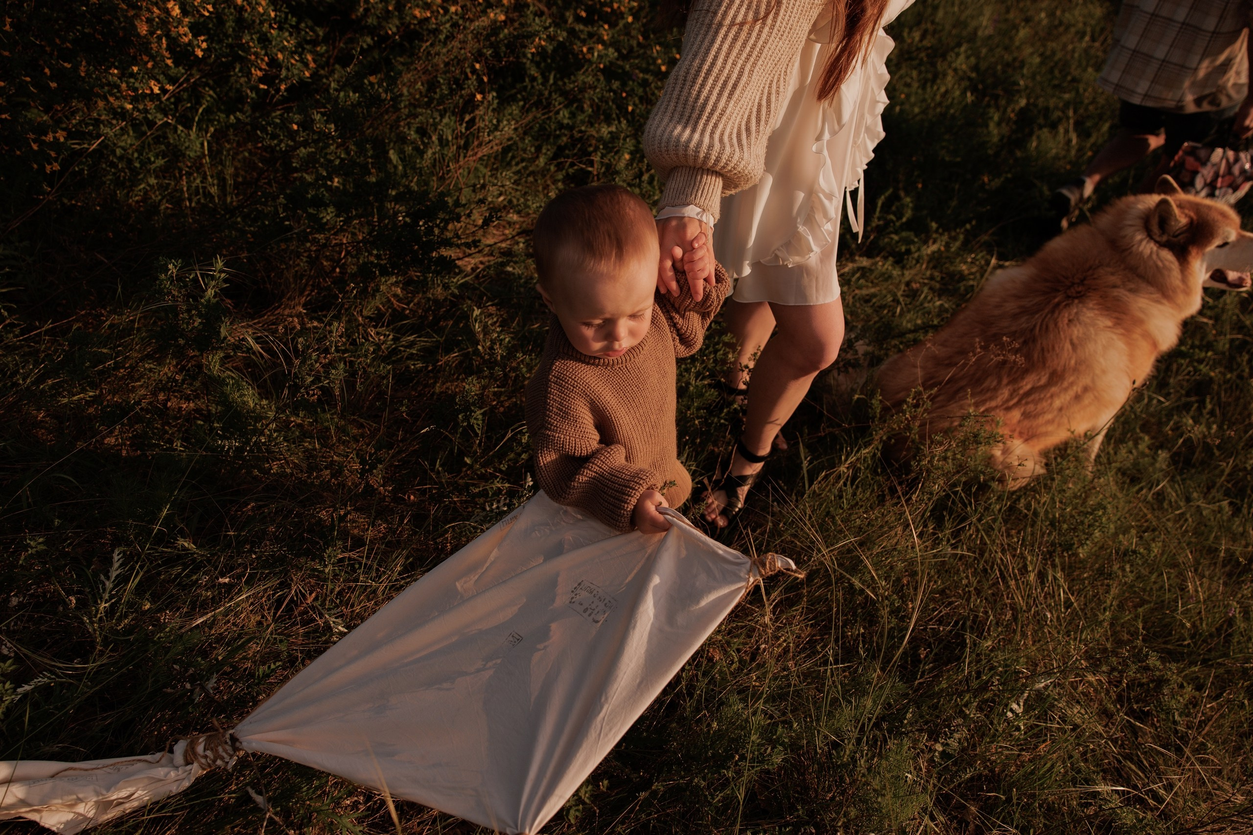 Твой большой маленький друг. Свадебный фотограф в Москве, Самаре, Тольятти