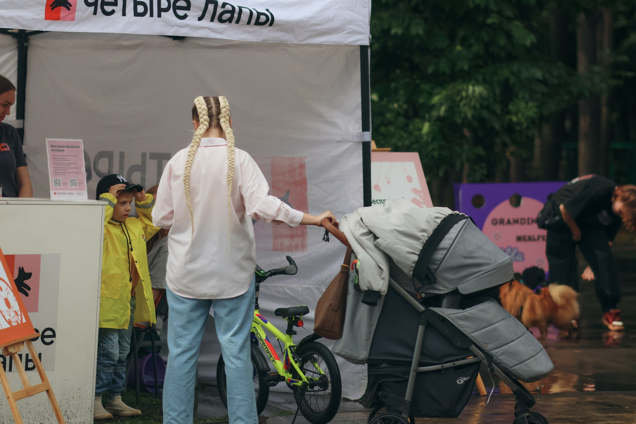 Четыре Лапы. Свадебный и репортажный фотограф Дмитрий Кононенко