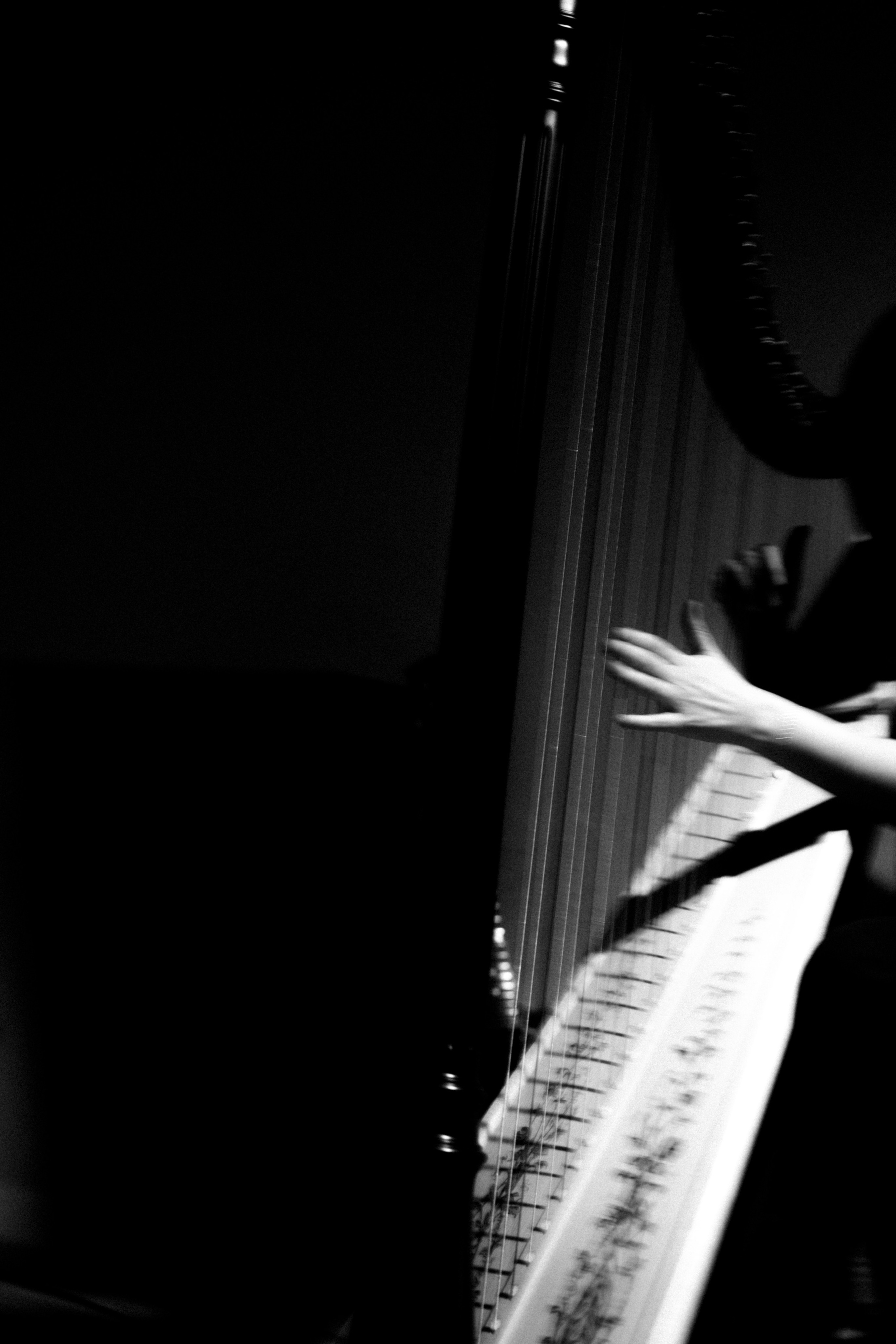 Арфовый дом. Veronika Popadeikina Photographer