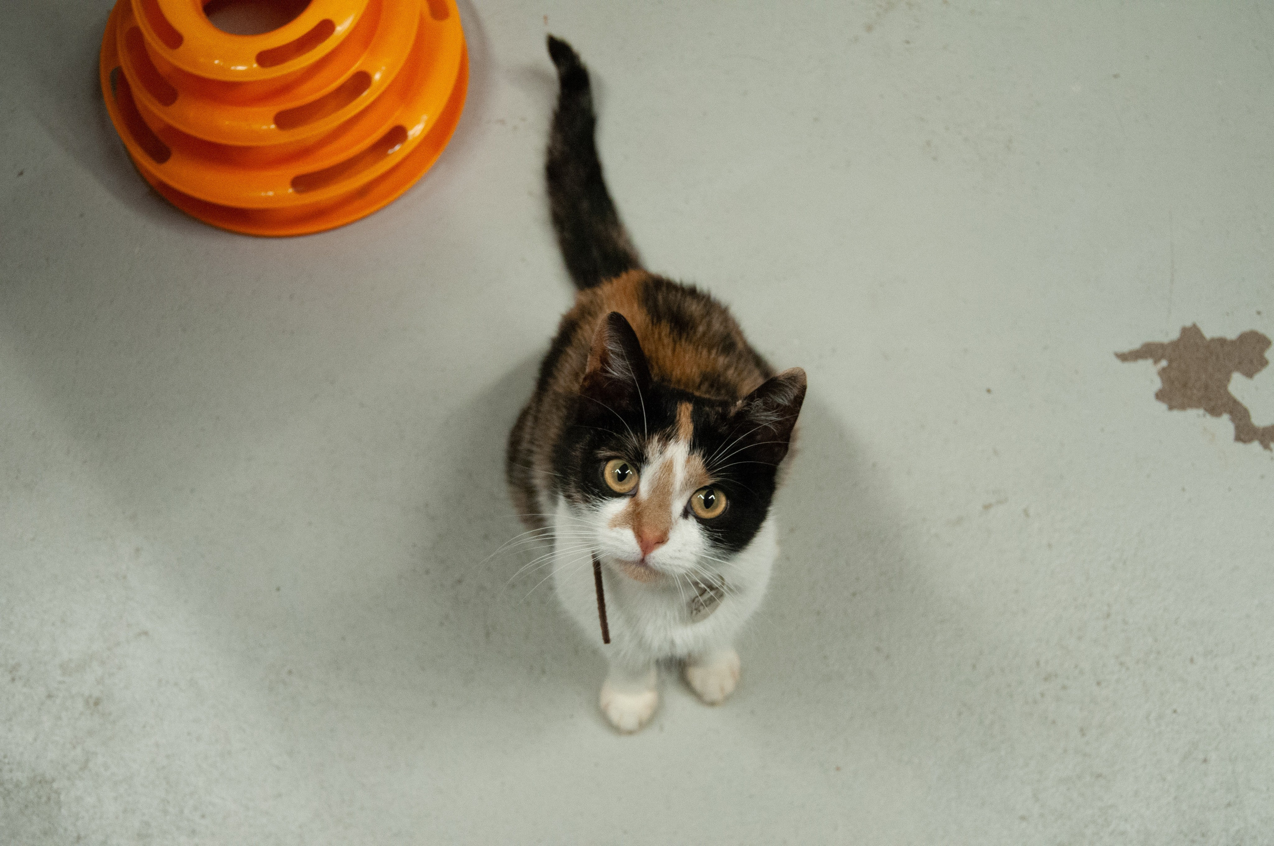 Репортажная съёмка. Главная