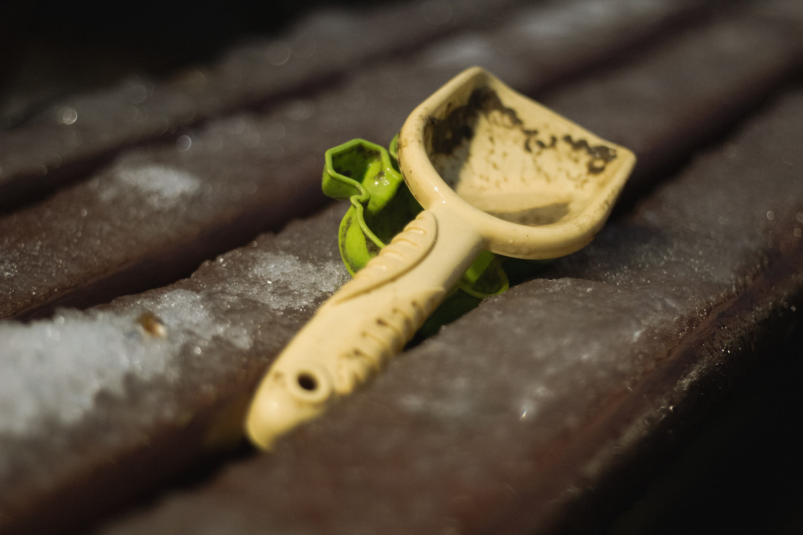 Осень-зима. Фотограф Москва, портрет, стрит, репортаж. Художественная фотосессия