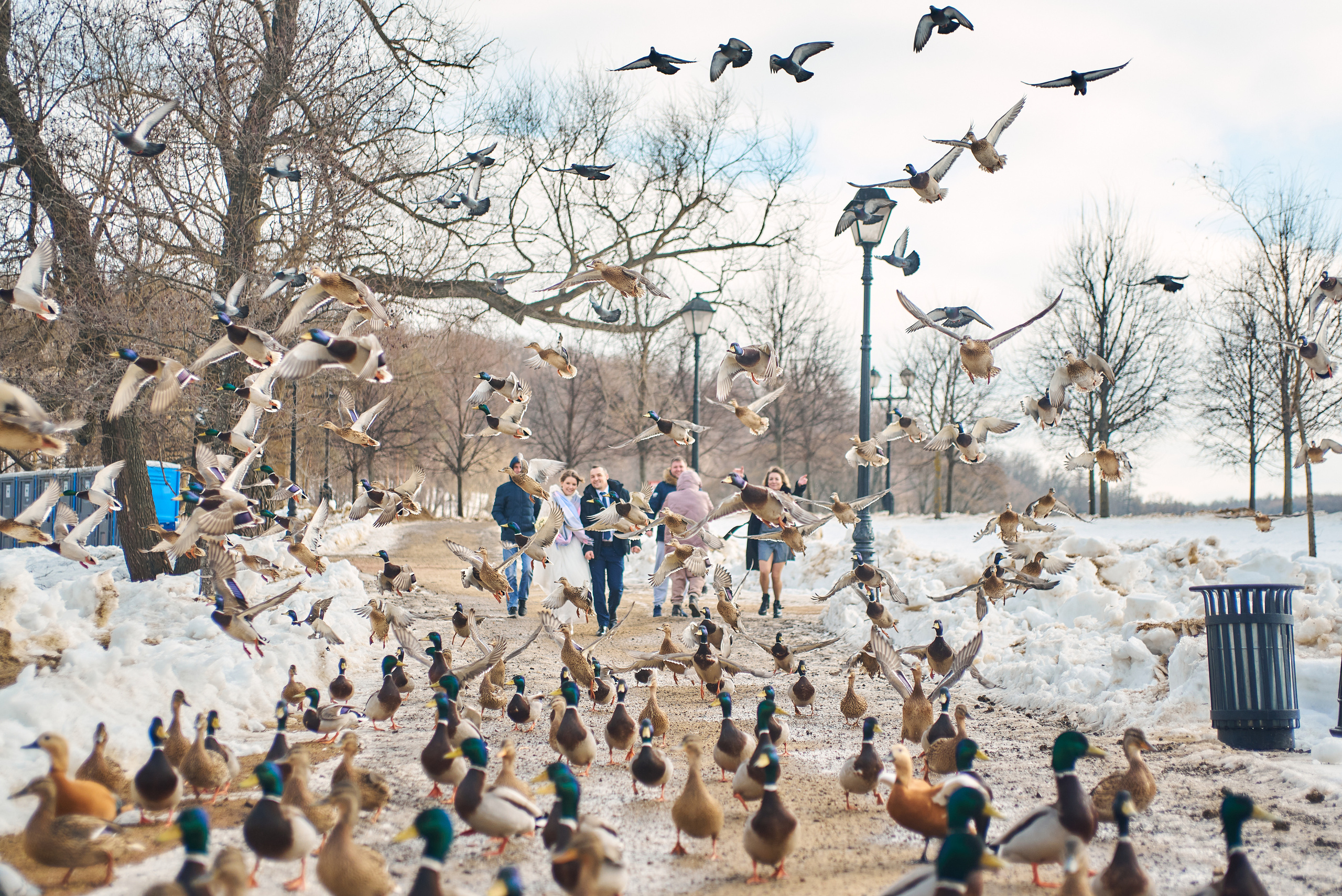 Николай и Анастасия. Свадебный и семейный фотограф в Москве