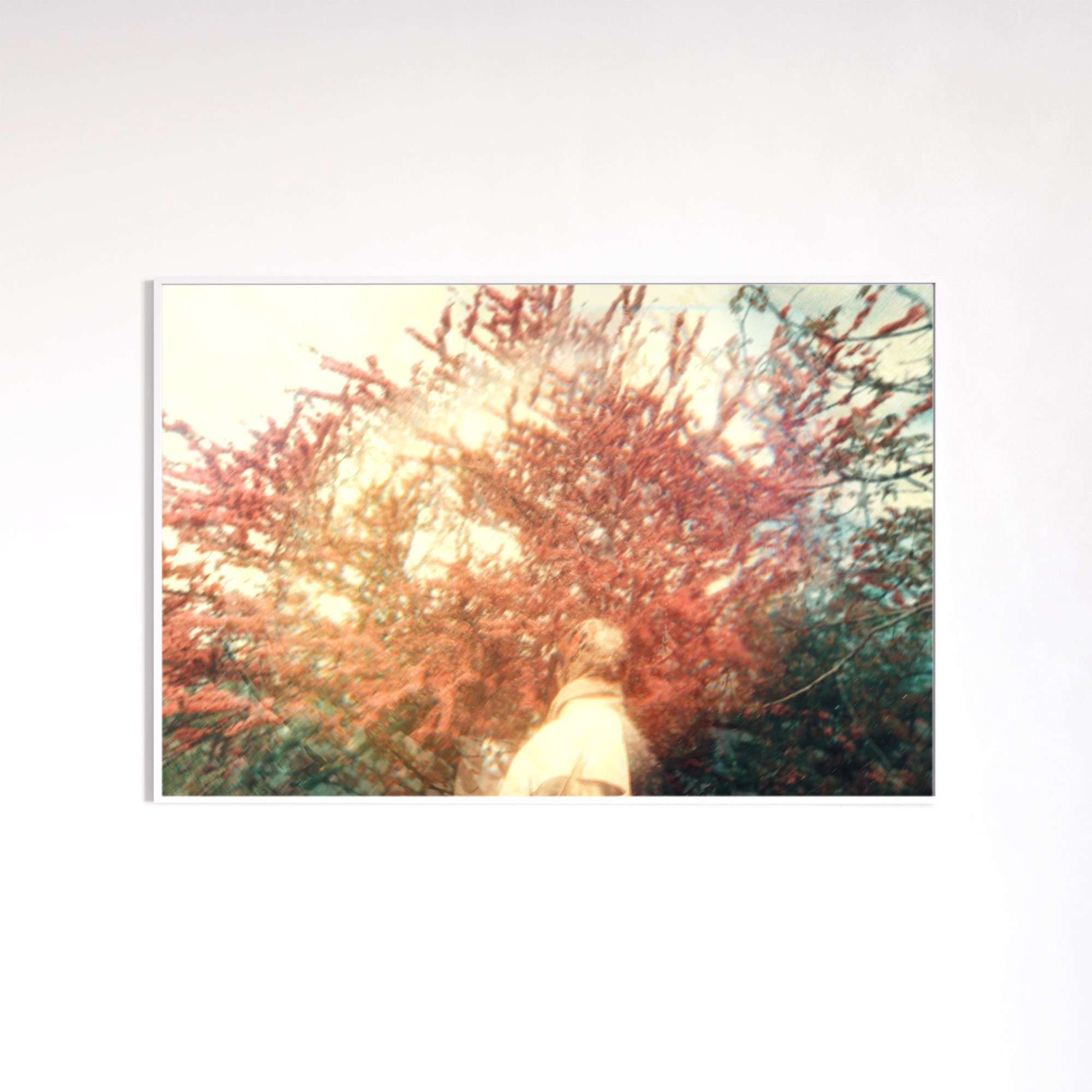 LONG JOURNEY PROJECT. Anna Konushkina — visual artist