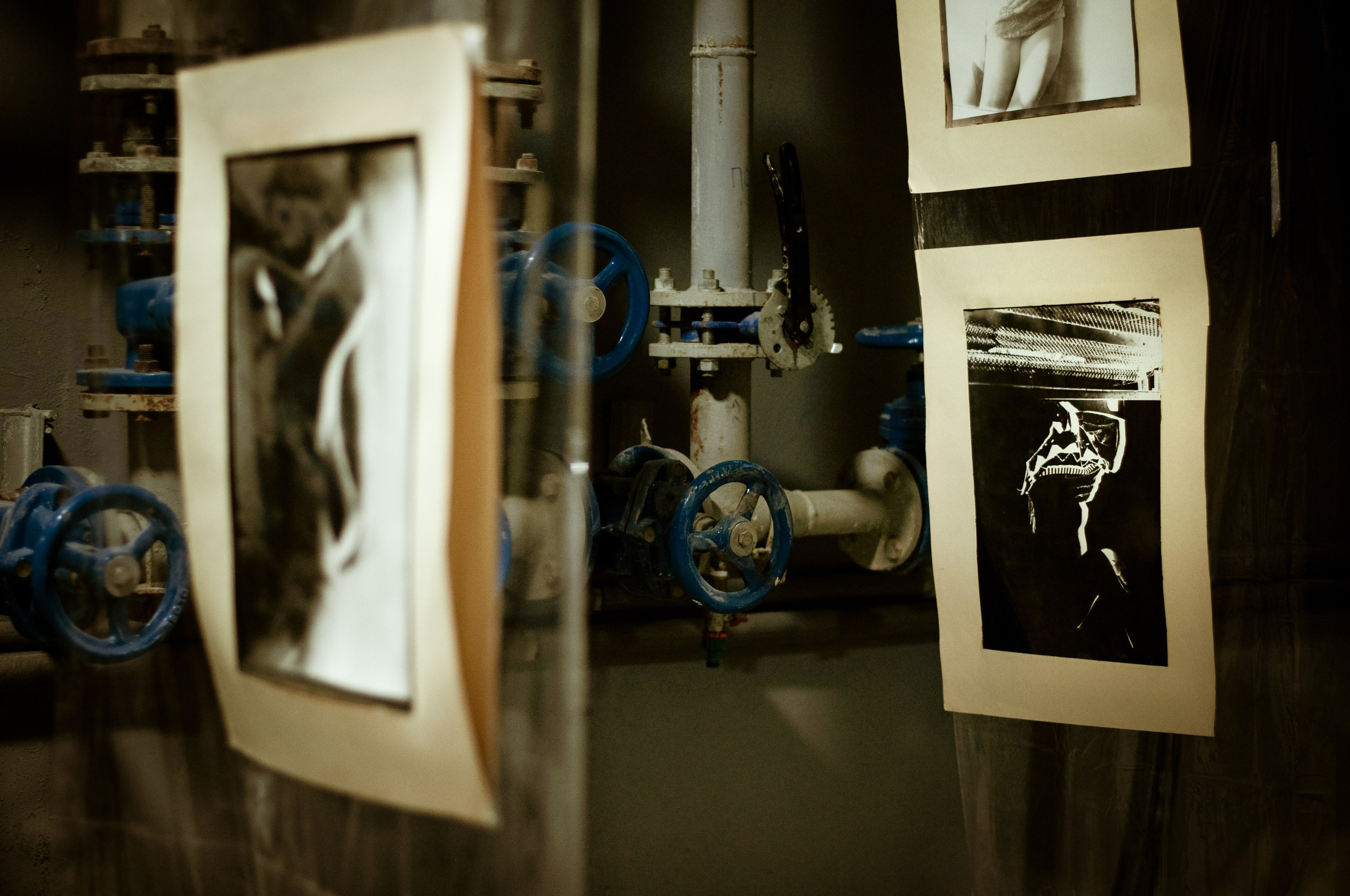 NOISE vs. ГЛАМУР 2026 Севастополь. Репортажный фотограф в Симферополе Зареев Иван