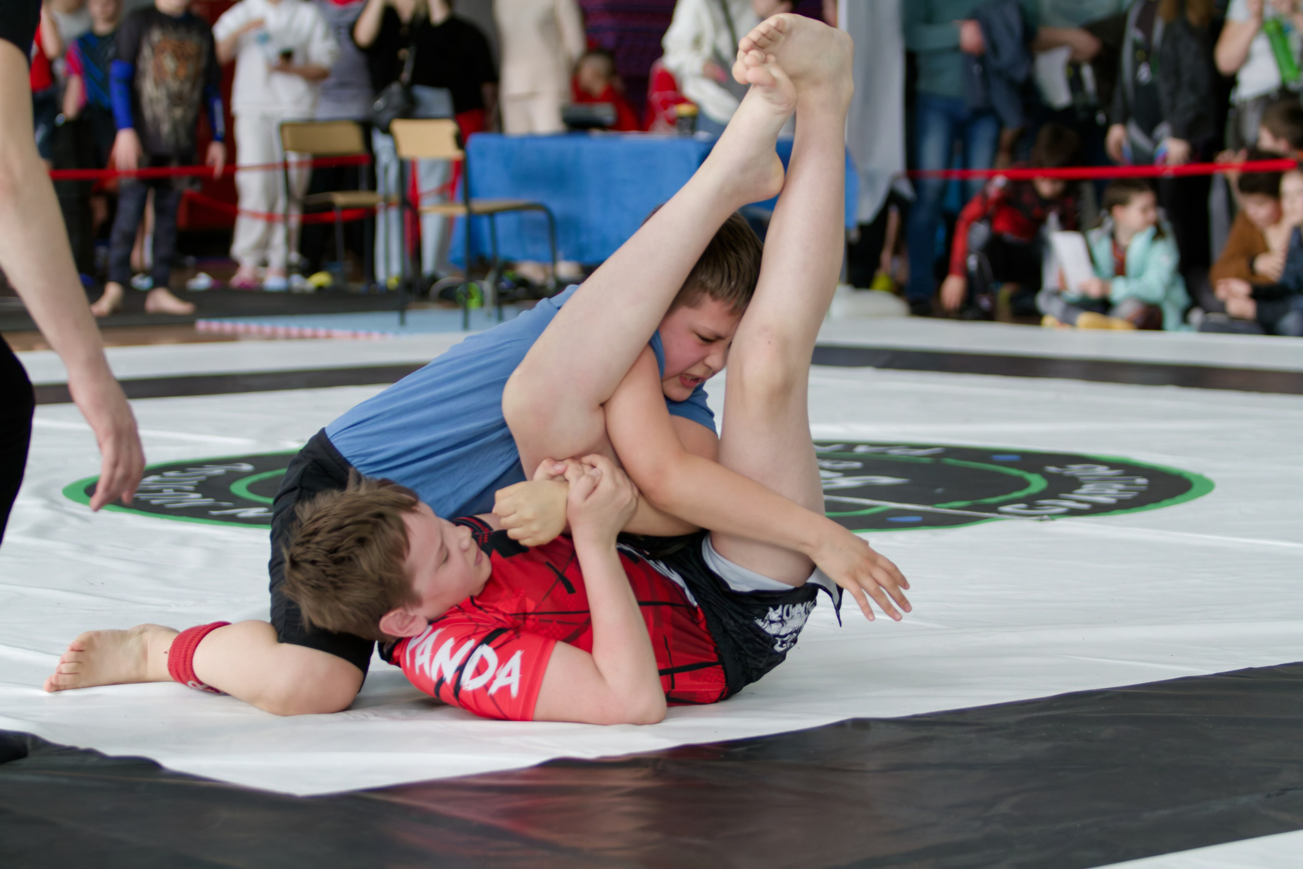 Борьба. Джиу-джитсу 26.04.2025. Репортажный и спортивный фотограф в г. Пермь Зильберг Павел