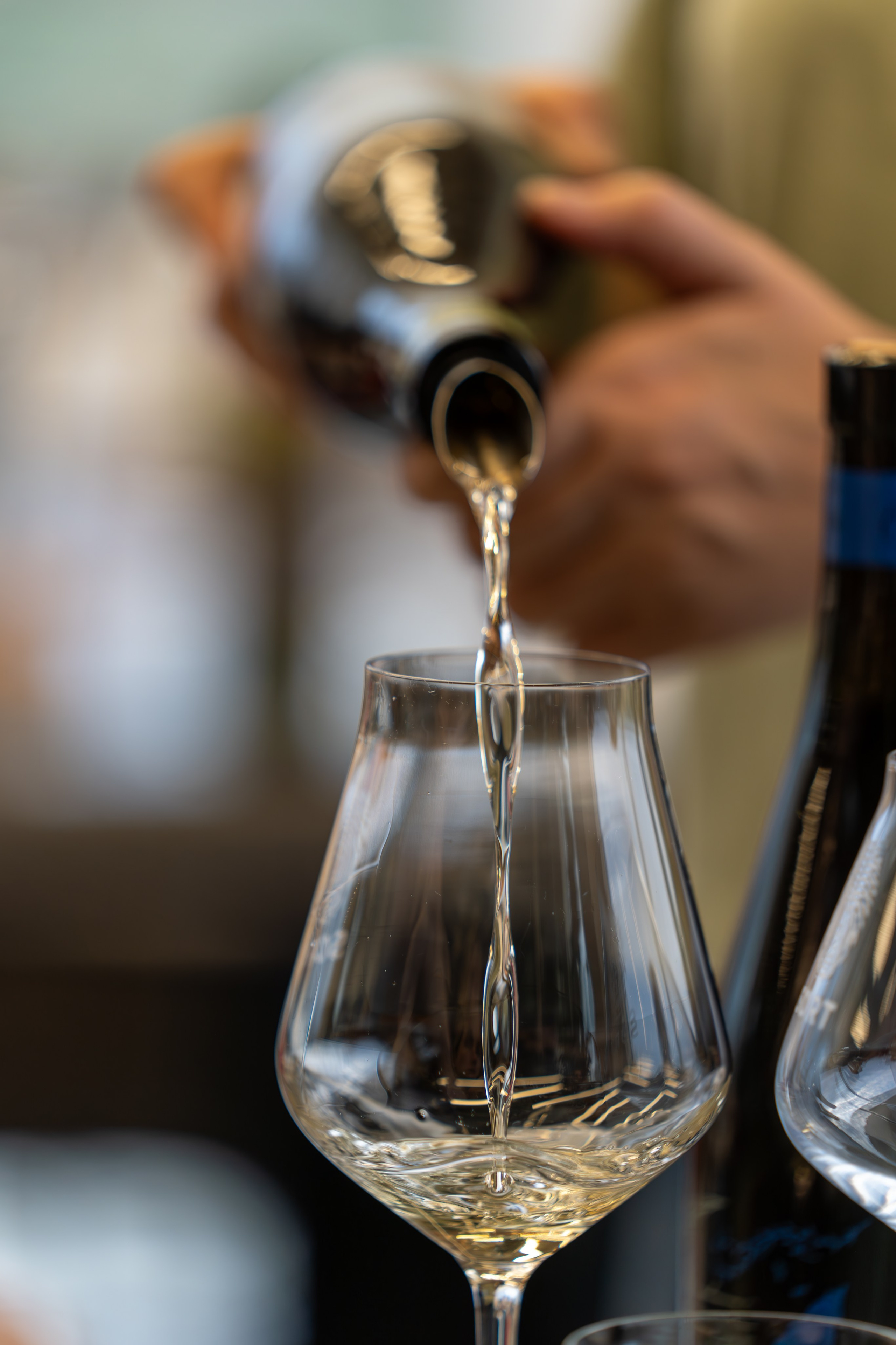 Литературная мастерская с Ольгой Шутовой в «Винотеррии». Репортажный фотограф в Красной Поляне и Сочи Павлюченко Екатерина