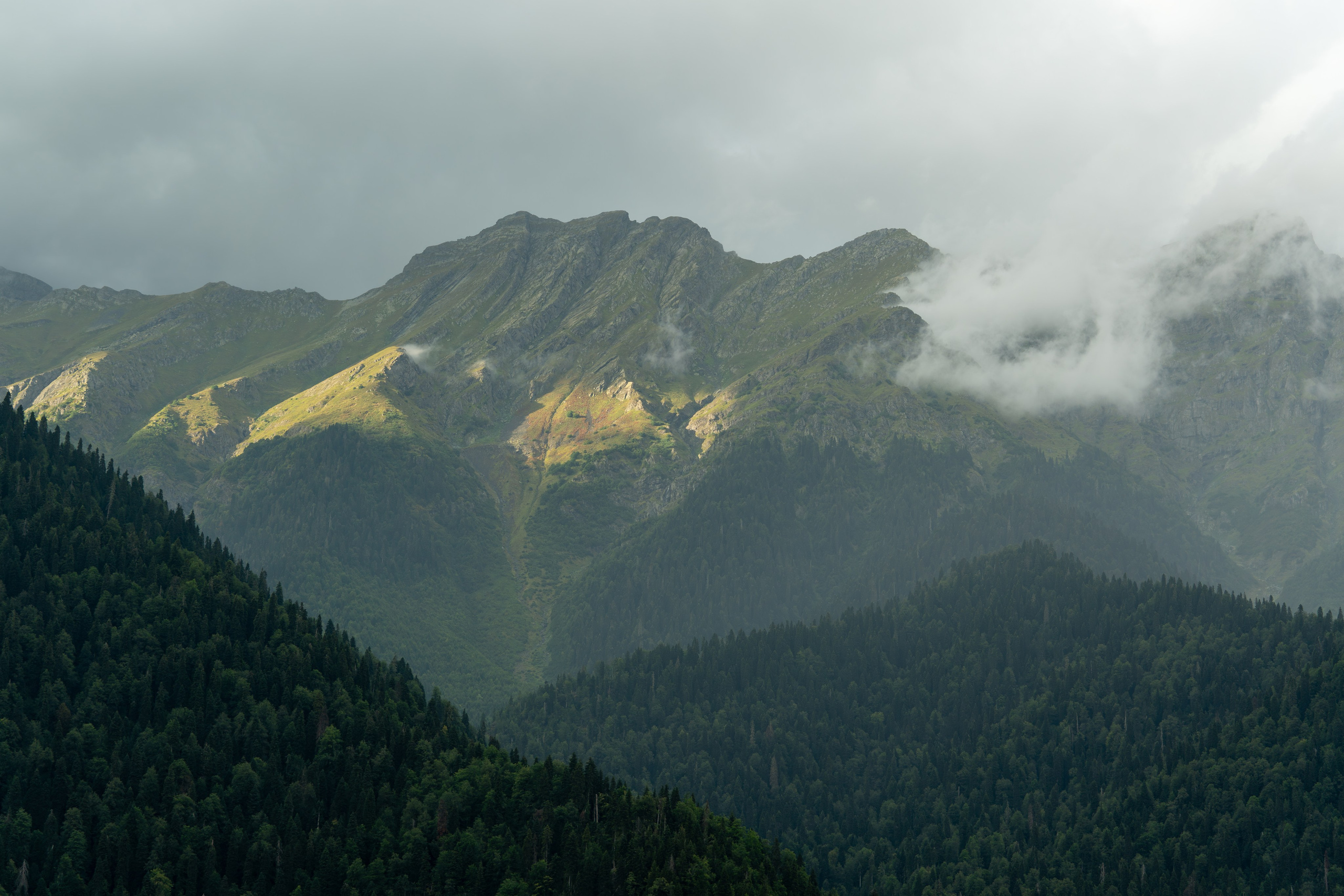 MICE мероприятие — тур по Абхазии. Репортажный фотограф в Красной Поляне и Сочи Павлюченко Екатерина