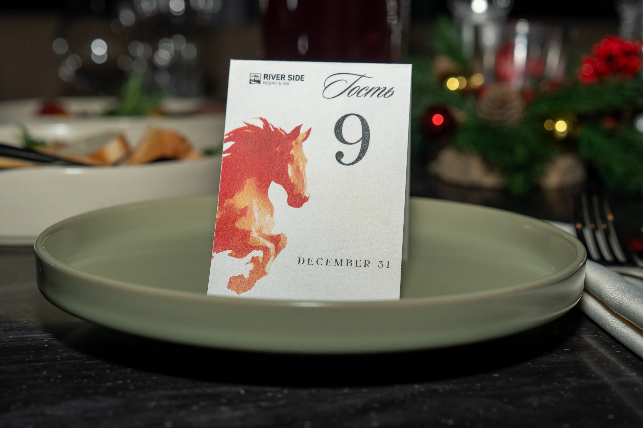 RS NYEAR2026. Репортажный фотограф в Красной Поляне и Сочи Павлюченко Екатерина