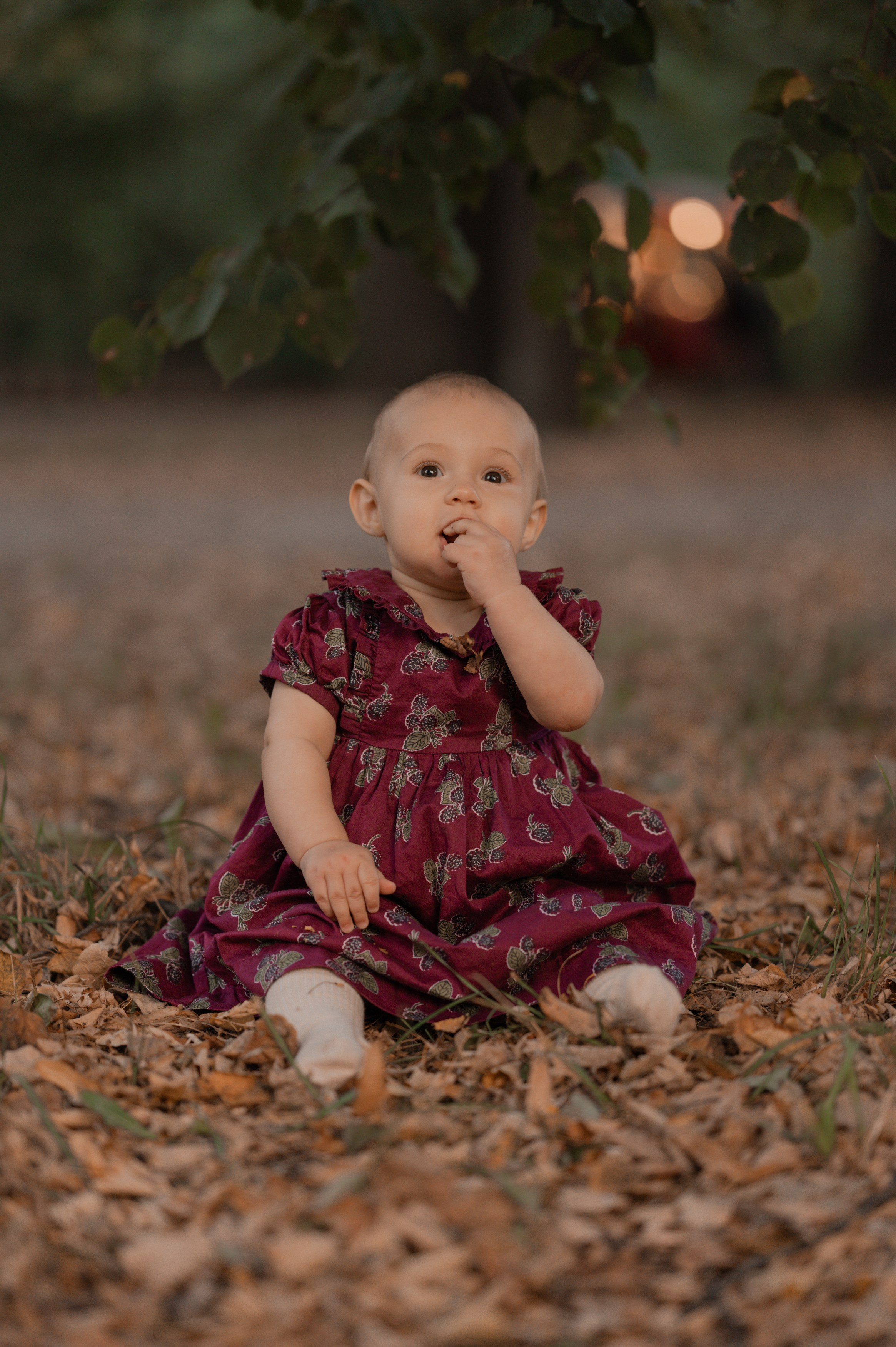 Осень. Фотограф Ким Ангелина