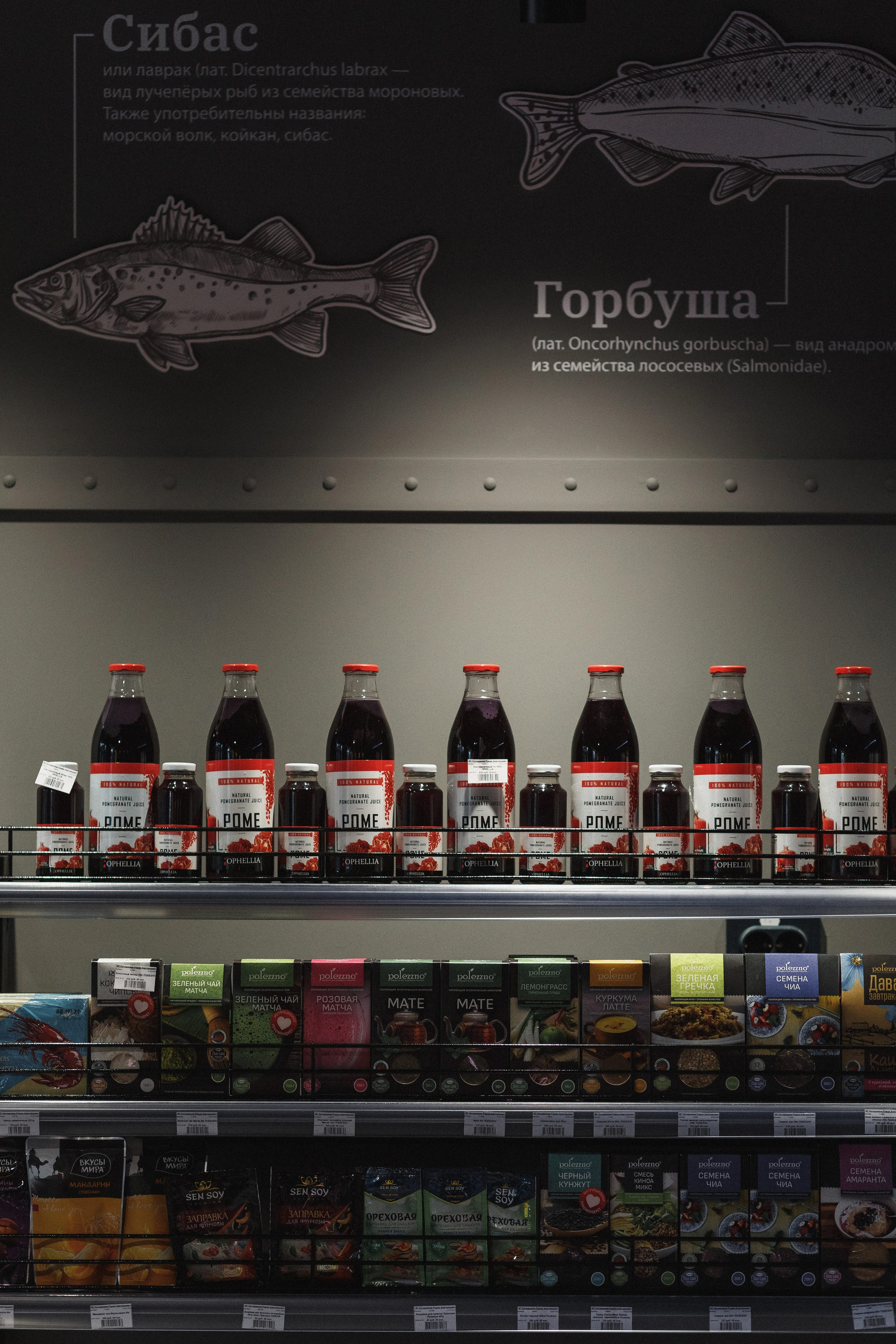 Открытие Сети Магазинов морепродуктов 'Дикая Устрица' в Таганроге. Свадебный и семейный фотограф в Таганроге Бакарюк Антон