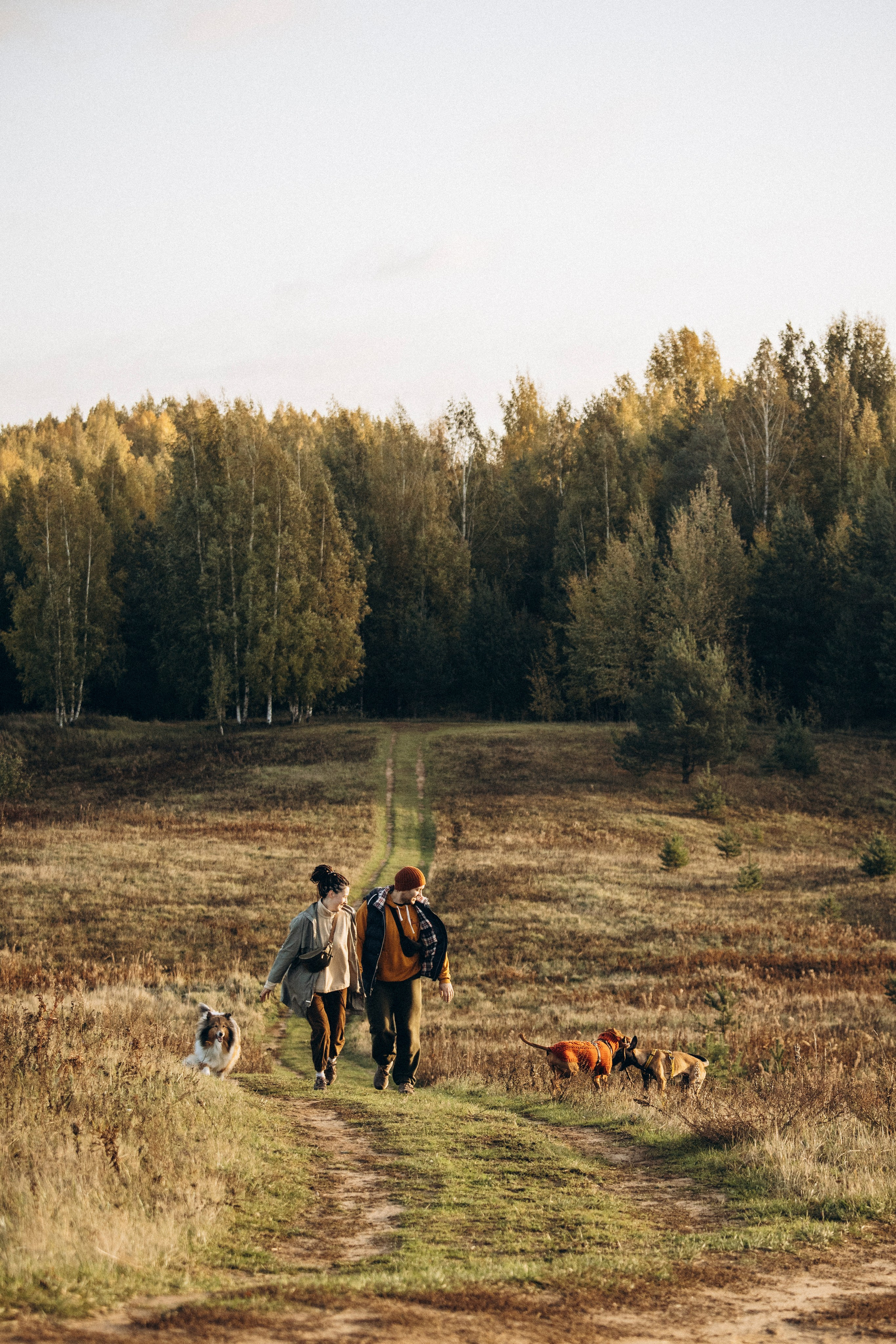 Трисс, Эста, Яся и их семья. Фотограф — Анималист | Санкт-Петербург