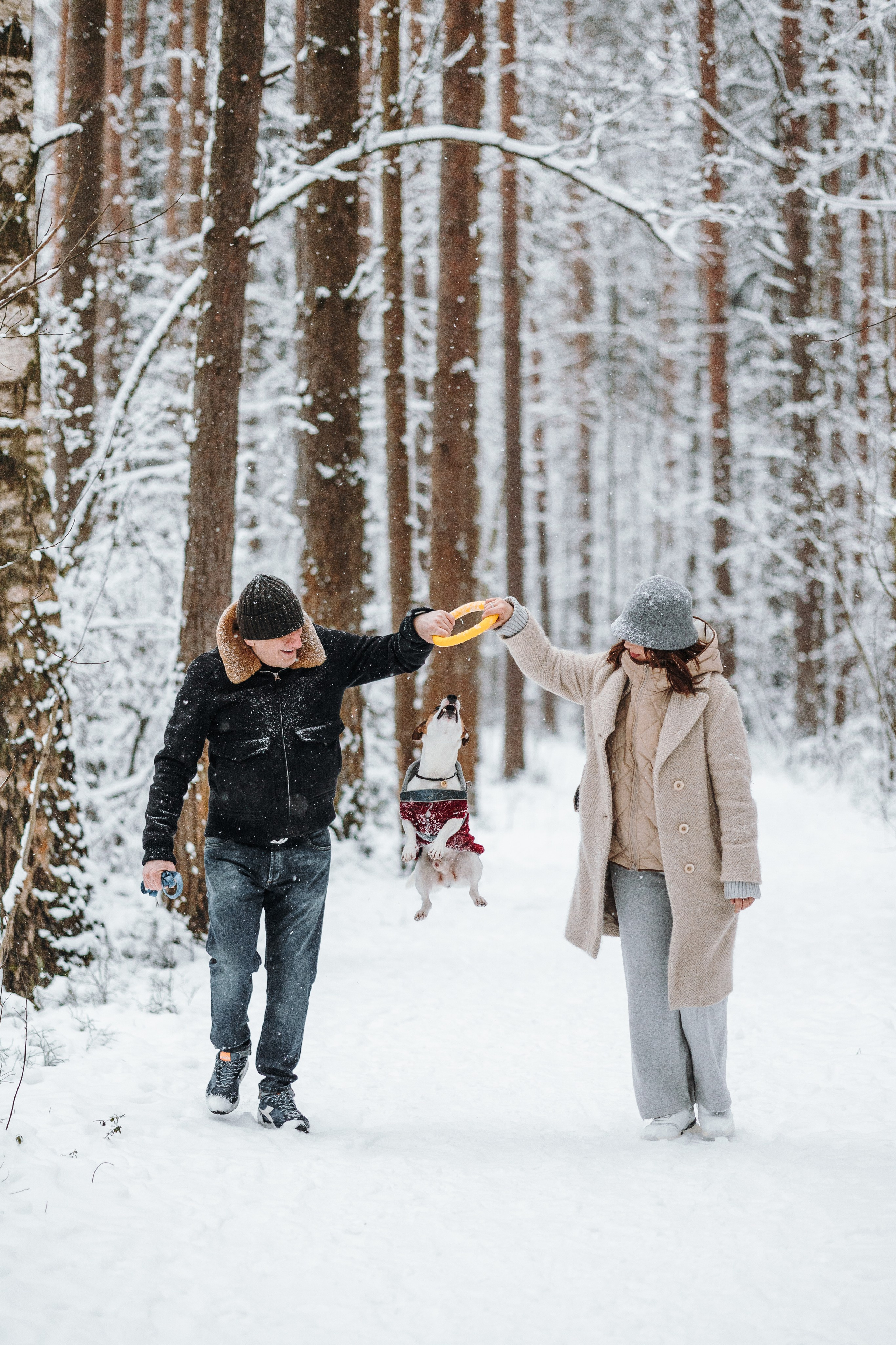 Мики и его семья. Фотограф — Анималист | Санкт-Петербург