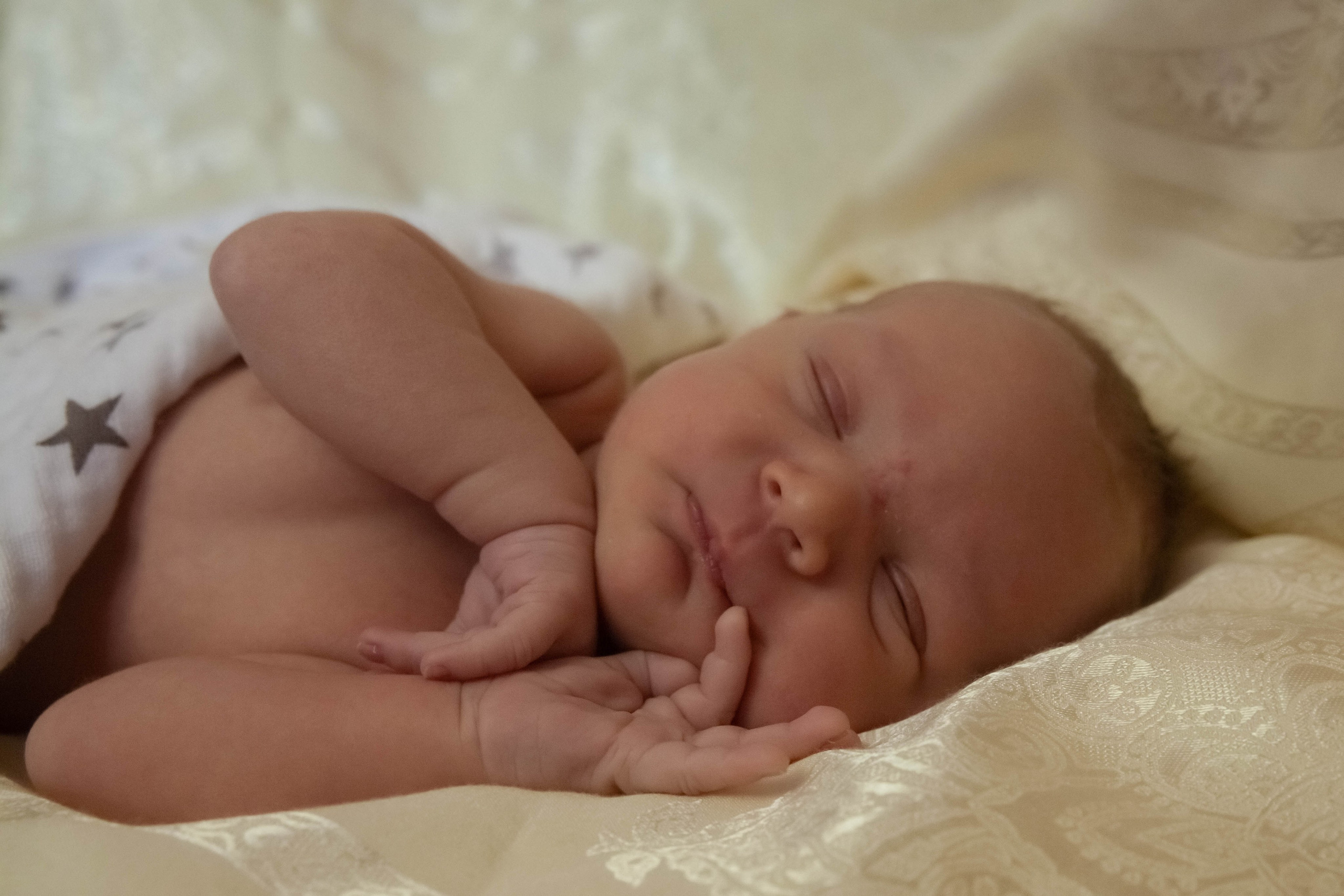 Домовенок. Лена Румянцева — репортажный, детский и семейный фотограф в Москве