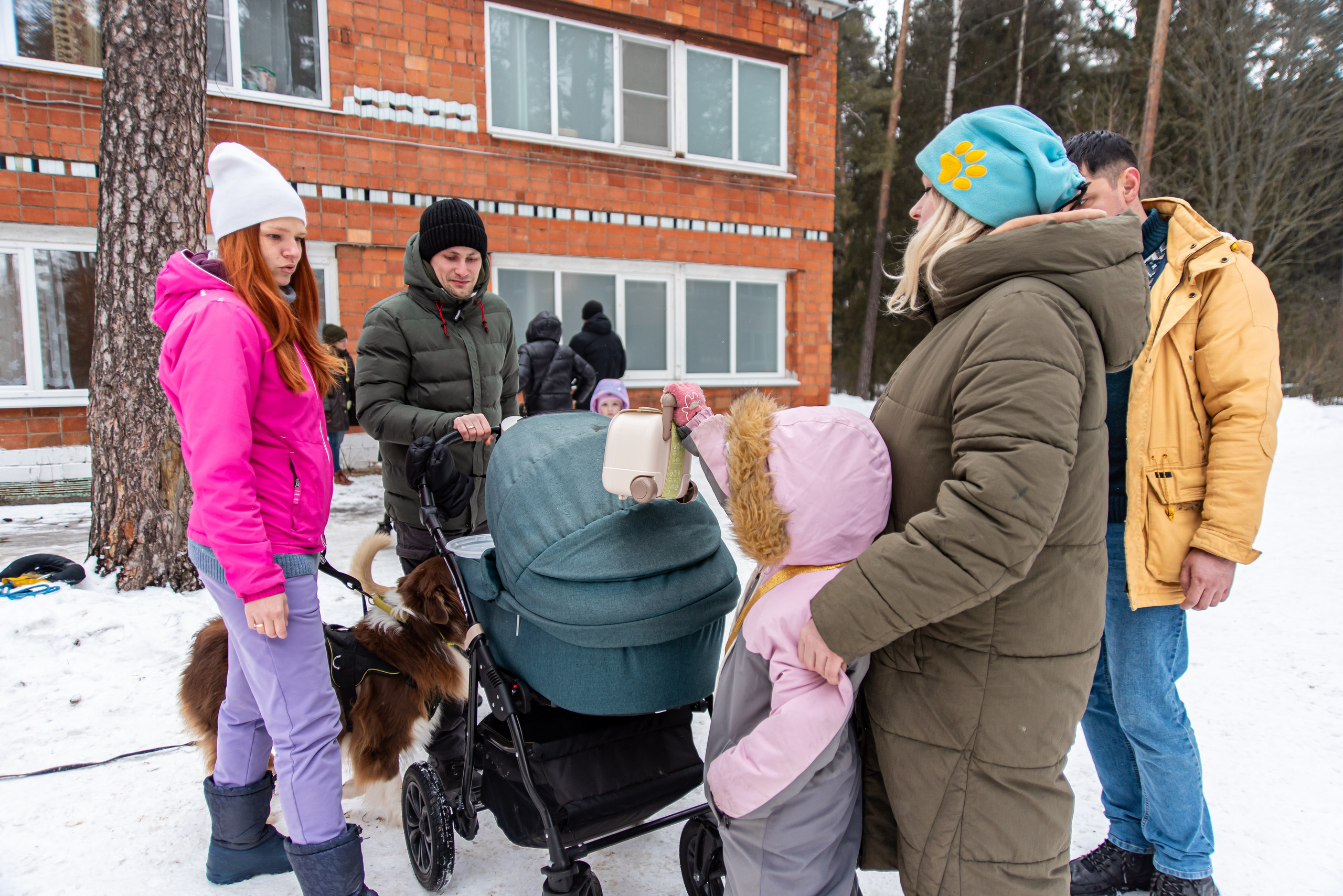 Фотосъёмка с собаками в Кинологическом лагере. Фотограф Макс Огурцов в Нижнем Новгороде