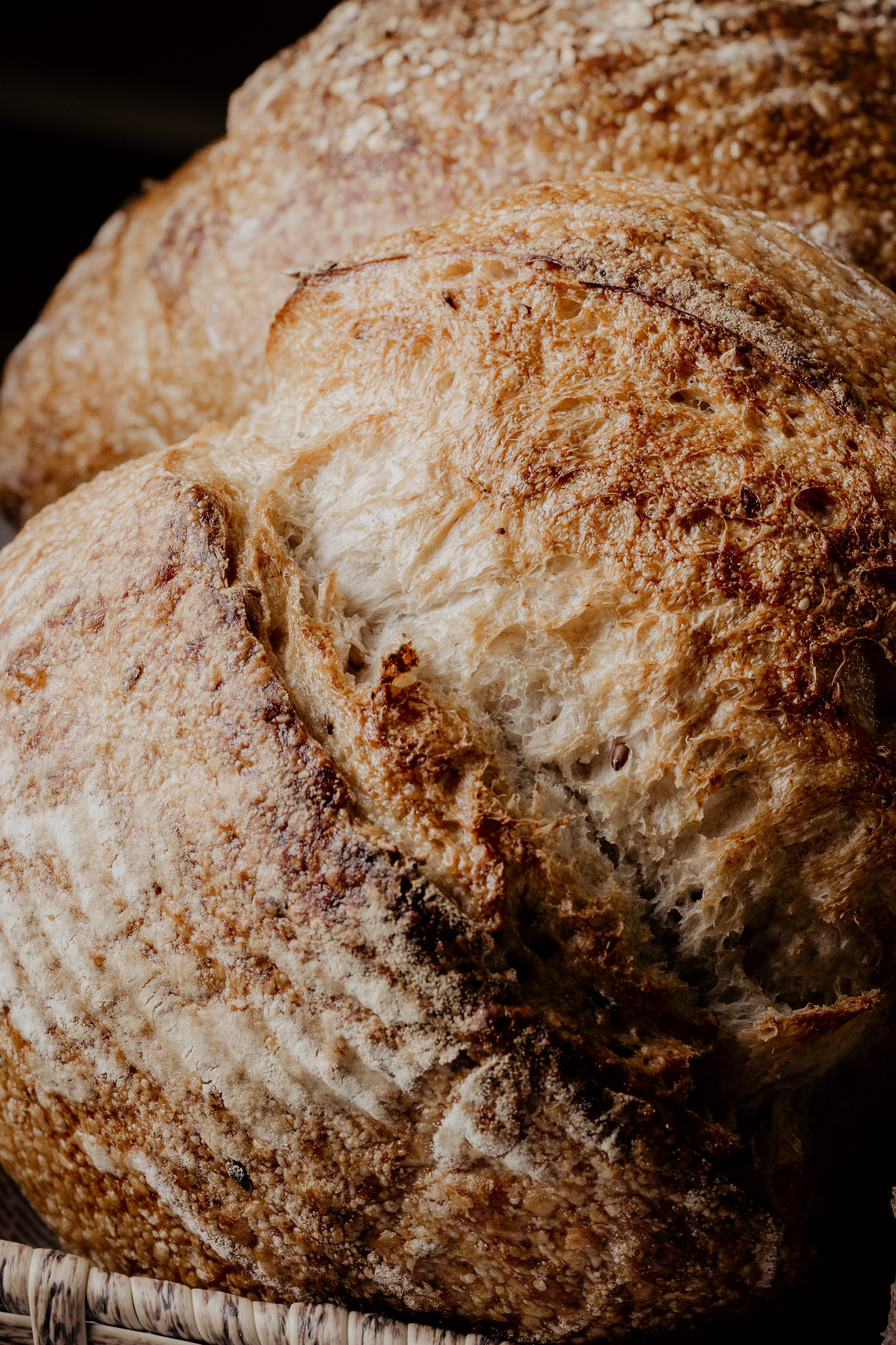 Elpan. Свадебный фотограф в Нальчике Алим Джаппуев