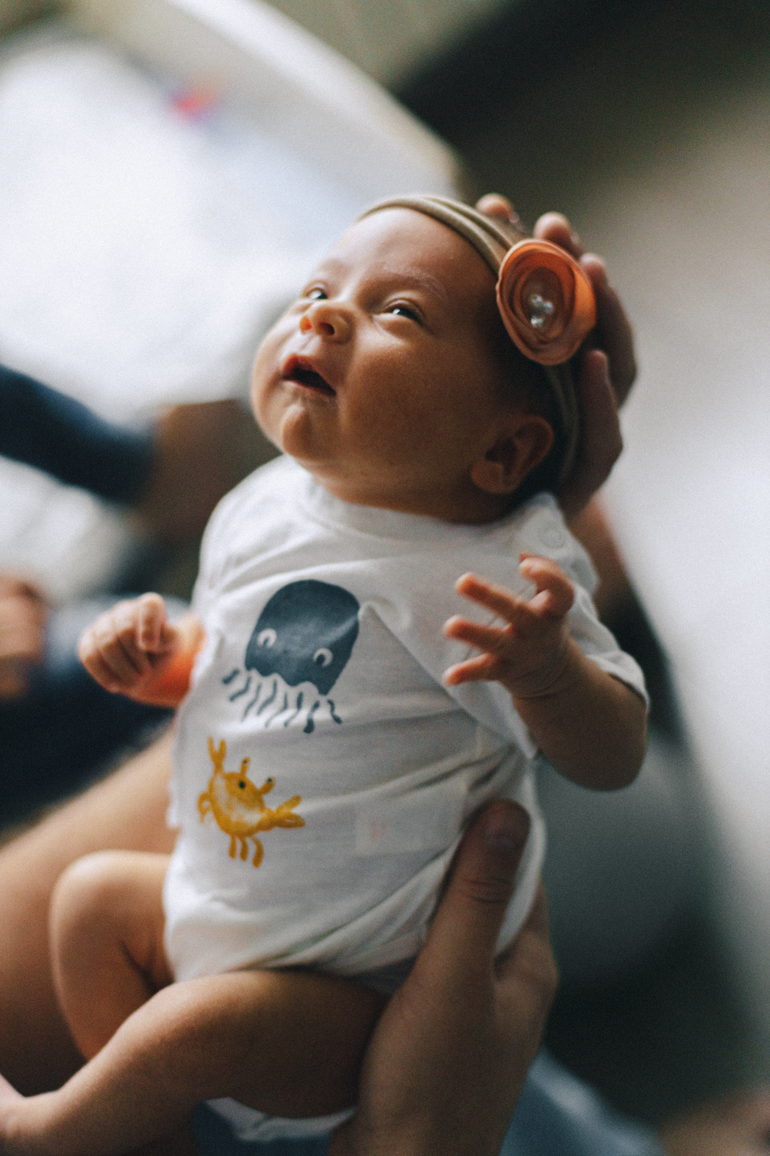 Ира, Леша, Максим и Майя. Фотограф Таганрог Любимая Надя