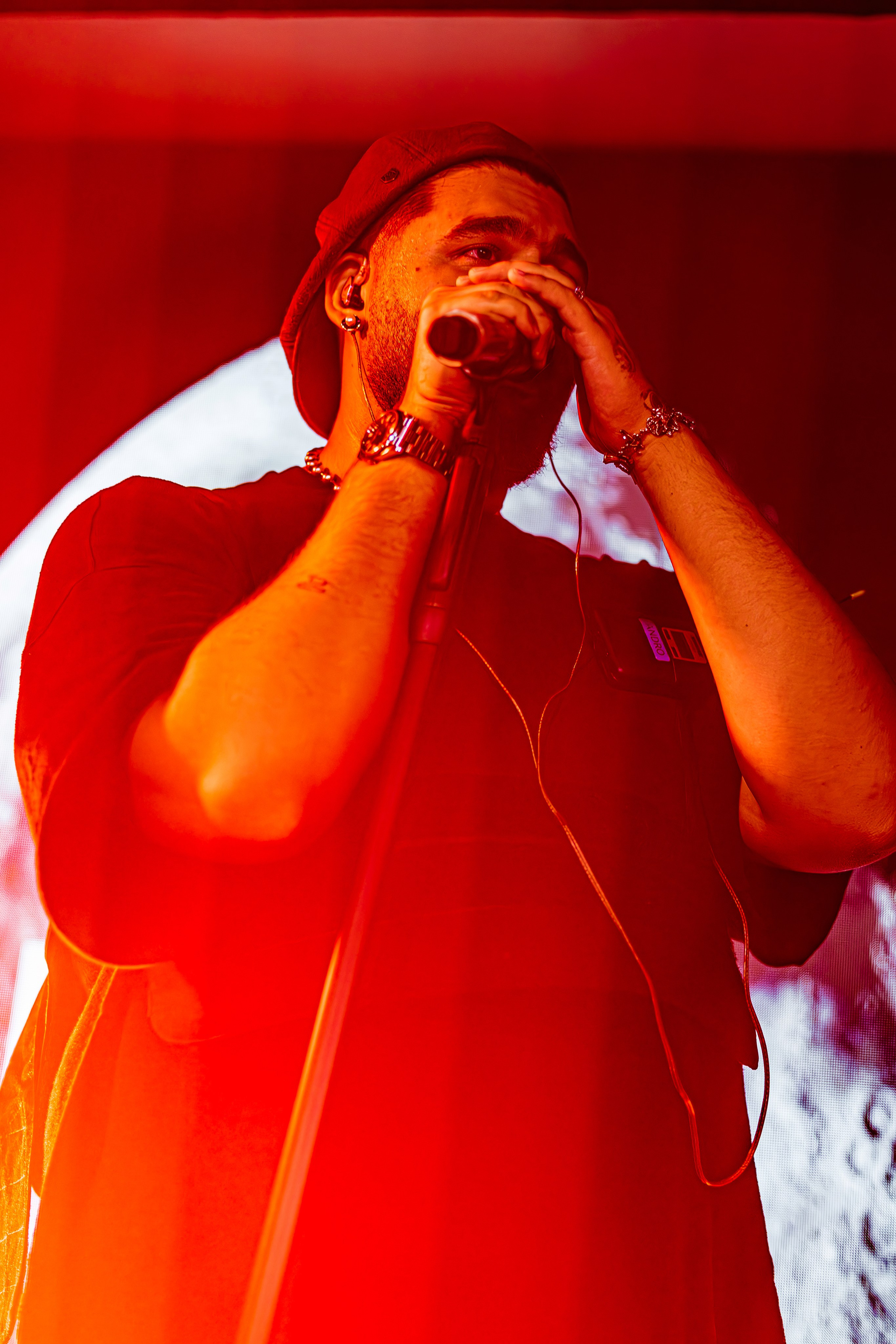 Чайка_на_пляже_Андро_Ялта_24.08.2024. Аминов Руслан | Фотограф