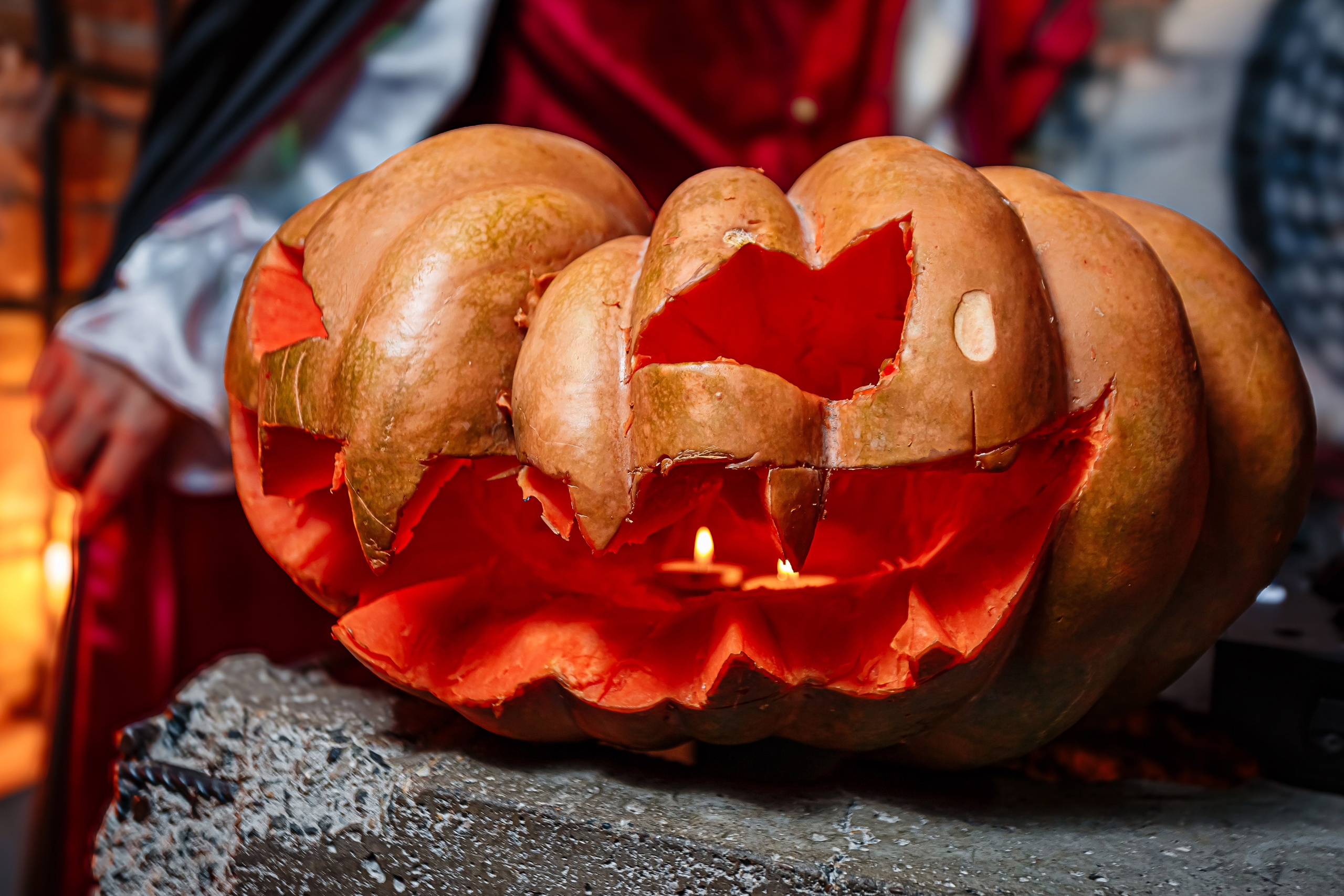 Пьяный плющ «Halloween"_Симферополь_2.11.2024. Аминов Руслан | Фотограф