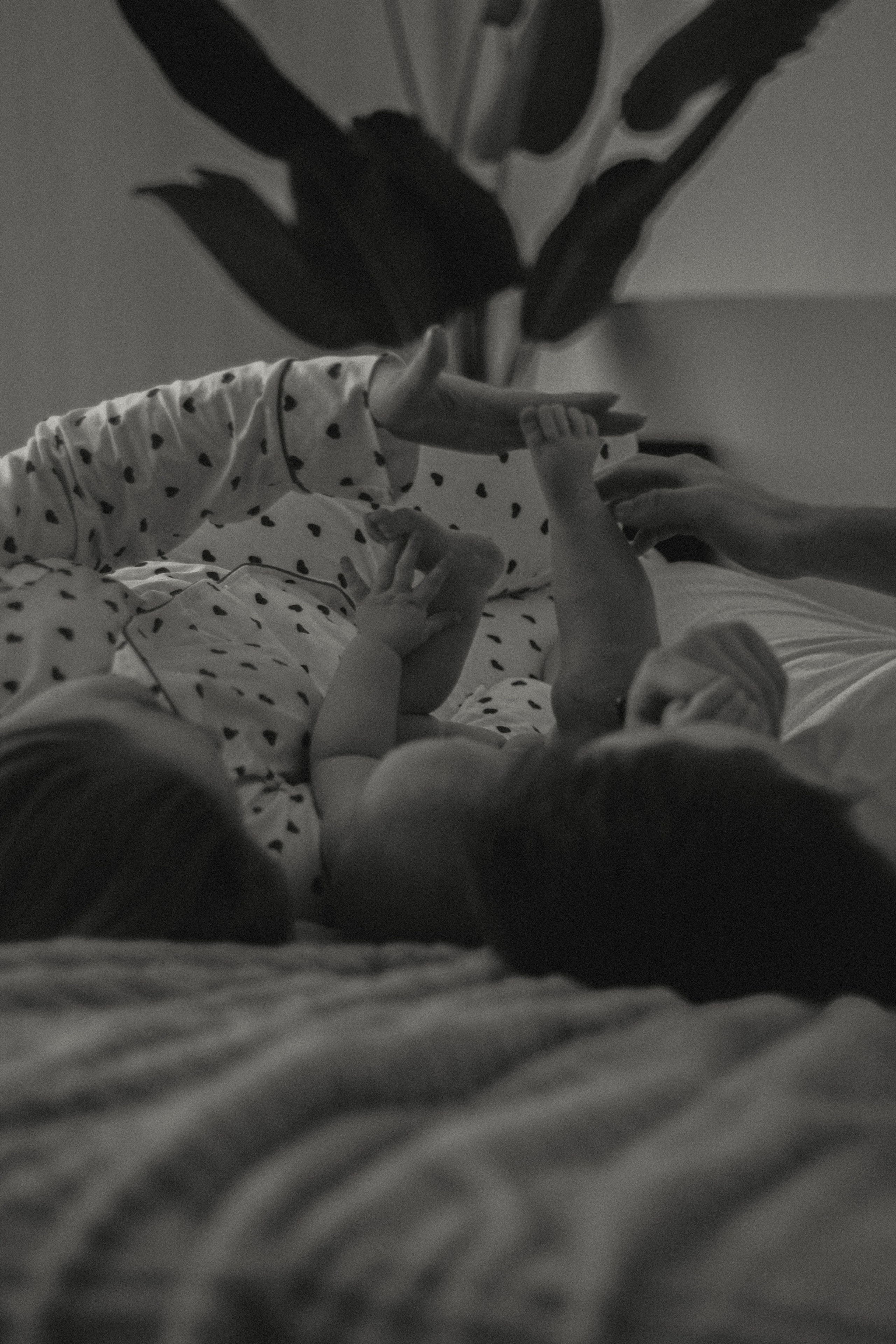 Варюша с мамой и папой. Семейный фотограф Полина Легачева