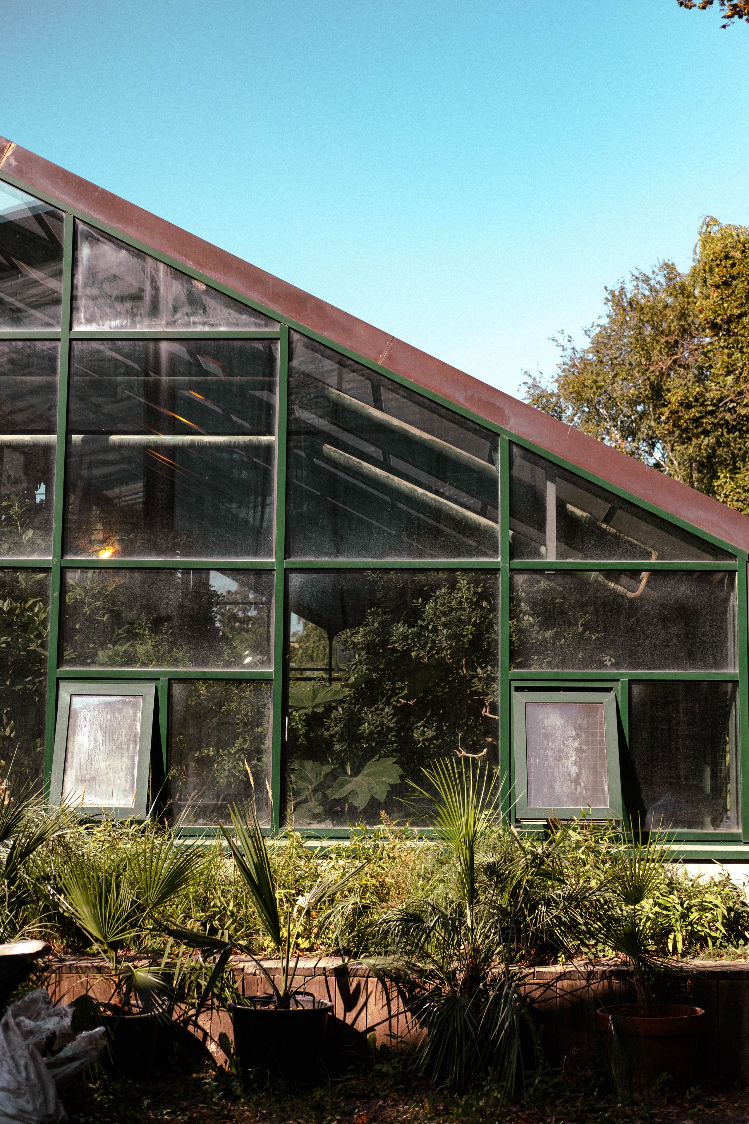 Москва 2024. Свадебный и семейный фотограф в Новосибирске, Санкт-Петербурге, Москве