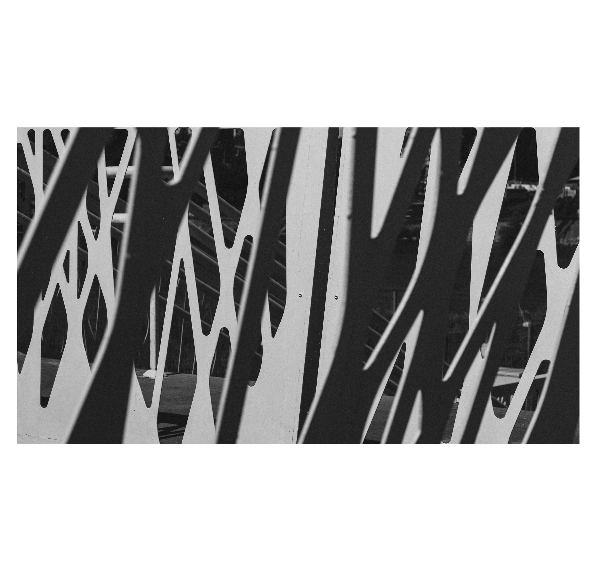 Ekb2.0. Фотограф/дизайнер в Екатеринбурге Хитрый Дмитрий