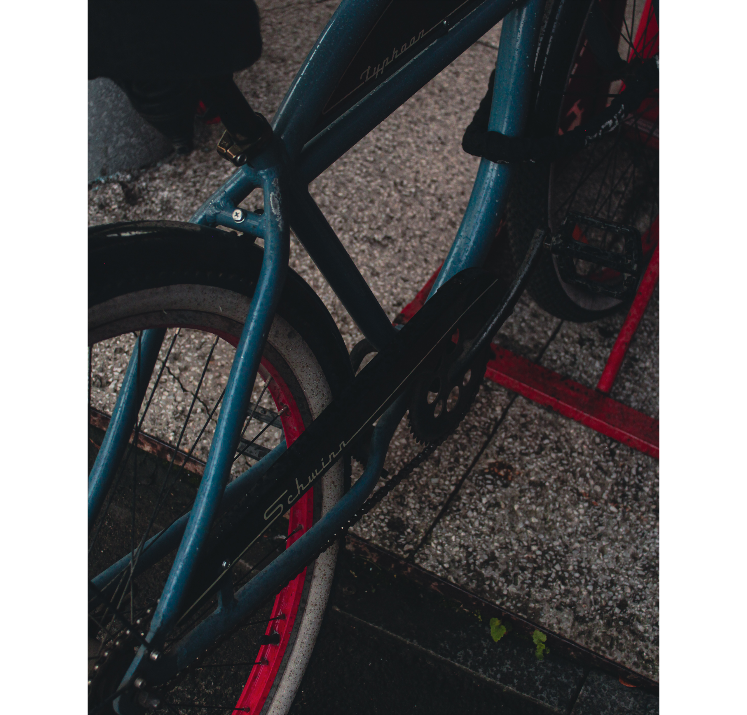 Summertime. Фотограф/дизайнер в Екатеринбурге Хитрый Дмитрий