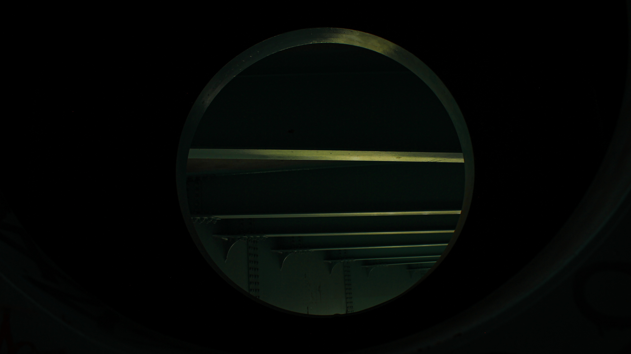 TMN summer '24. Фотограф/дизайнер в Екатеринбурге Хитрый Дмитрий