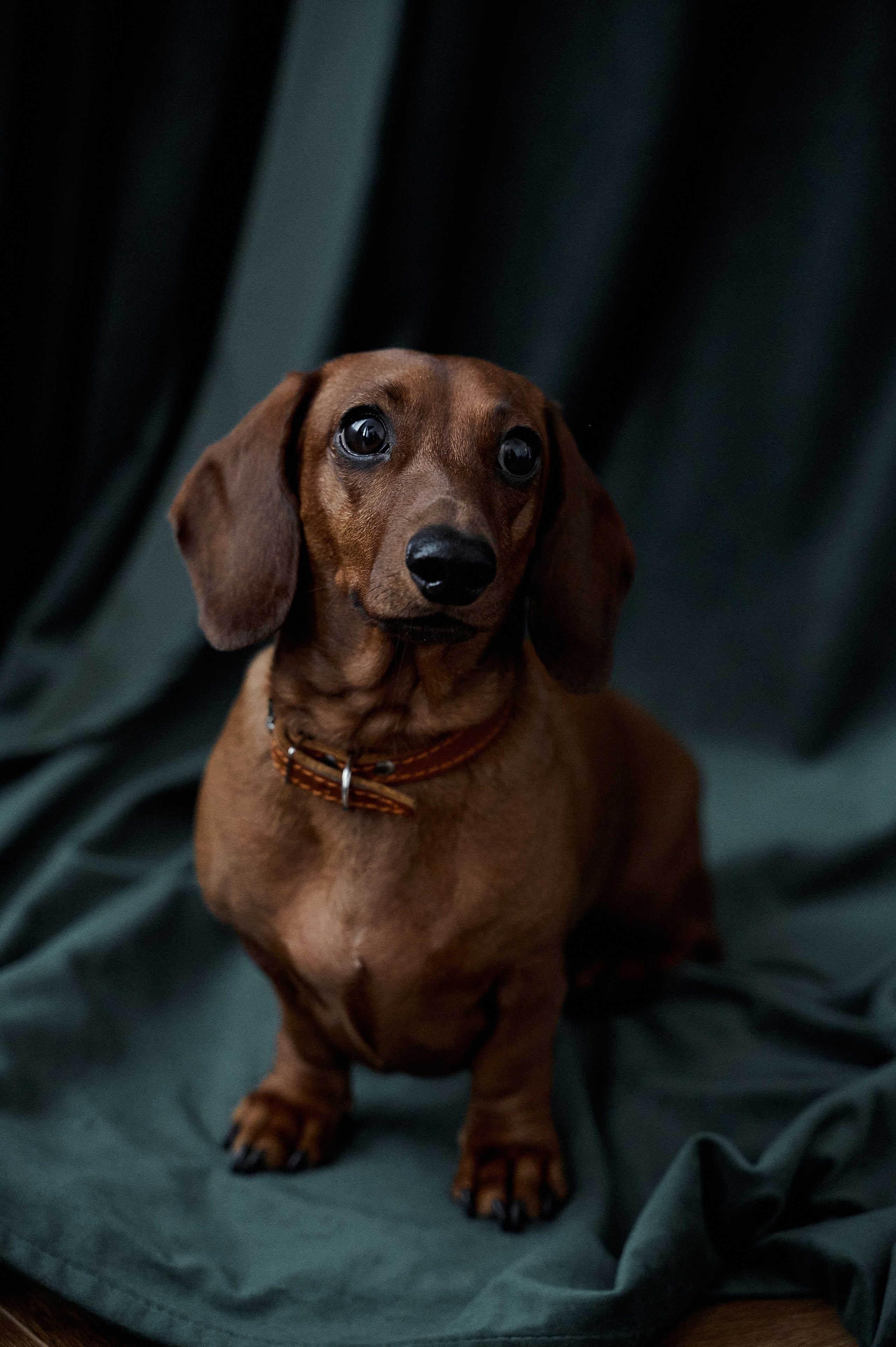 Саша. Свадебный и портретный фотограф в Брянске Скепская Лилия