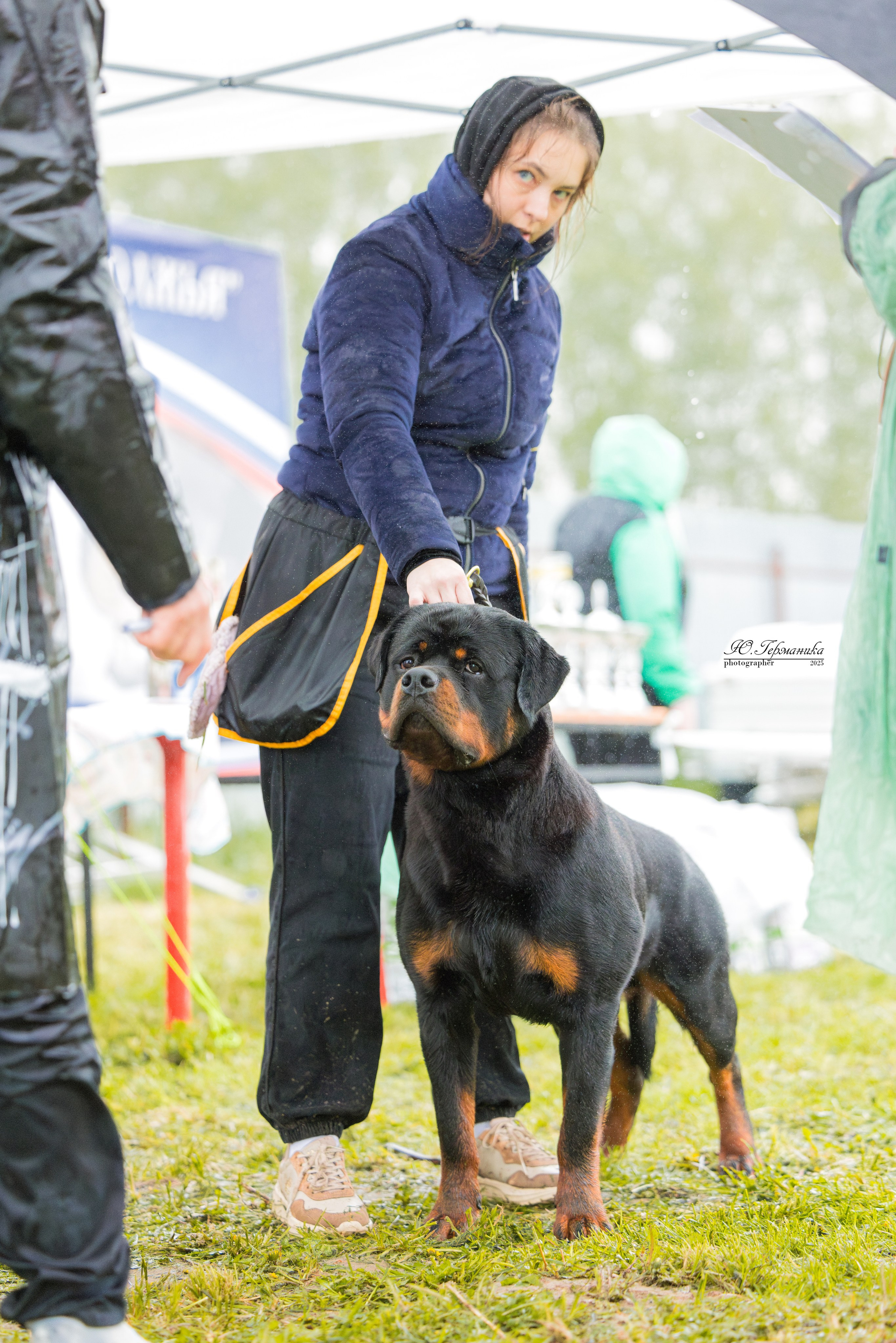 Нижний Новгород 2хмоно ротвейлеров 10-11.05.2025. Фотограф-анималист Юлия Германика