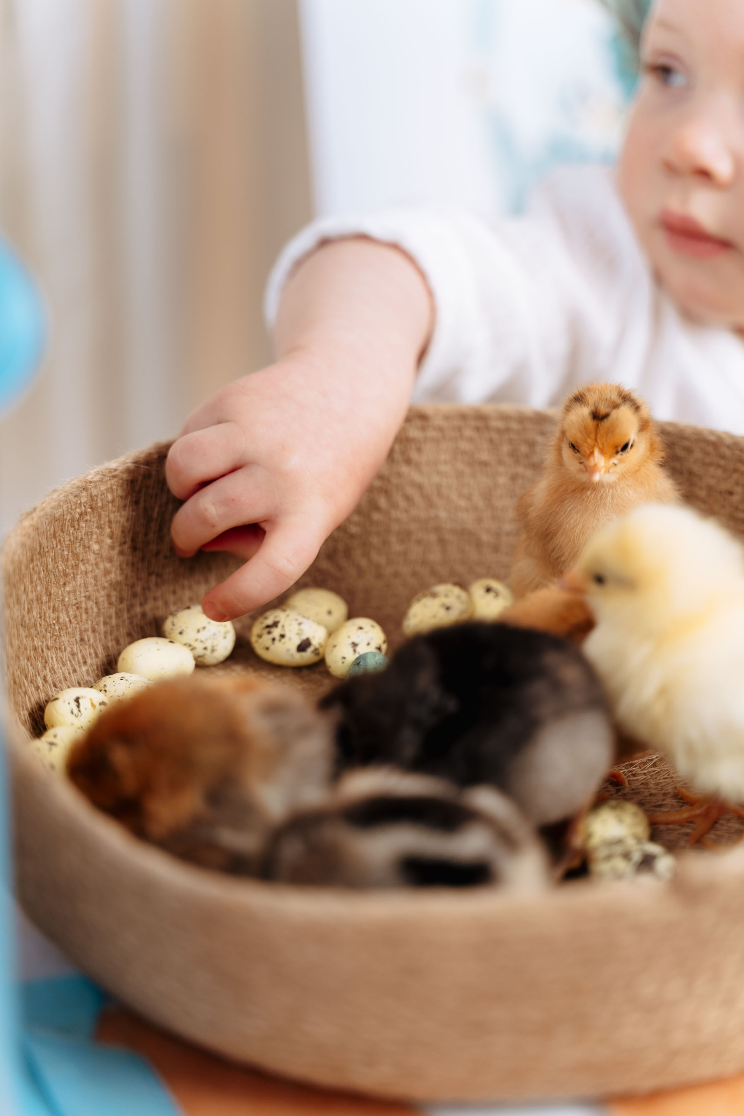 Пасха. Семейный фотограф Новочеркасск